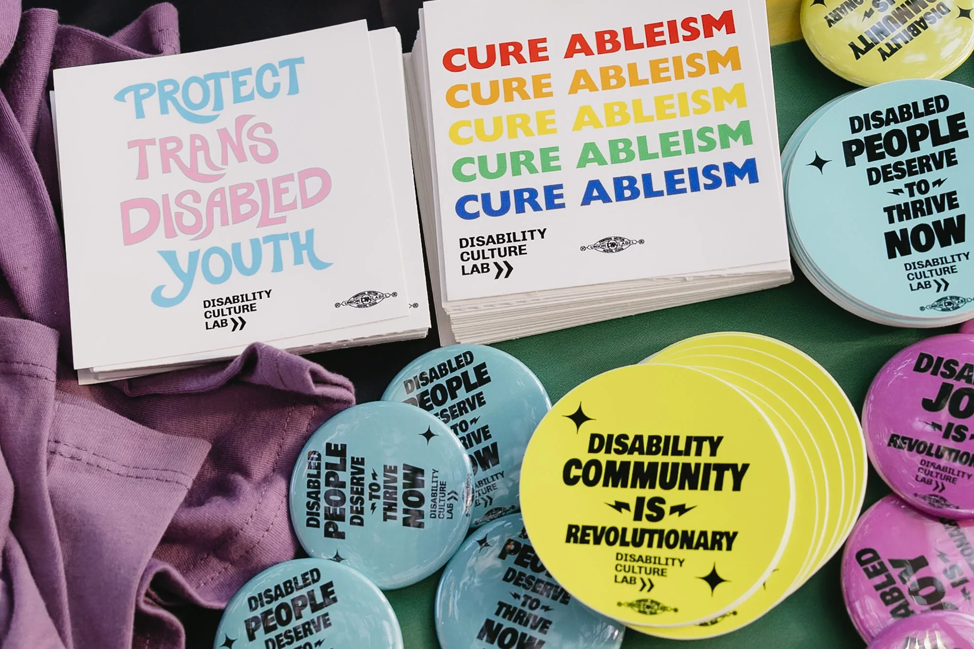 Disabled Reflections, Rage and Resistance