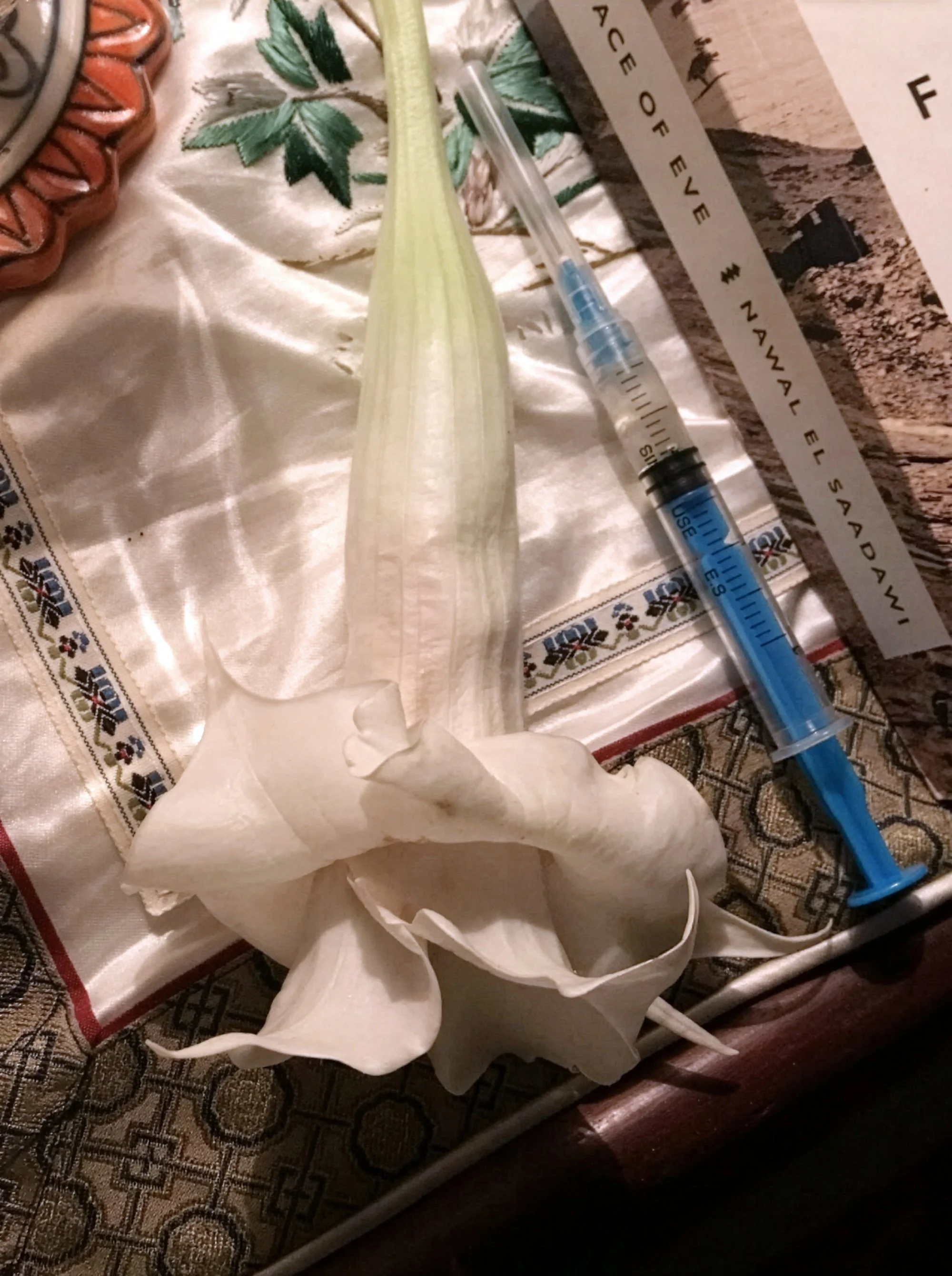 A syringe, readied and laden with a routine estrogen shot, on a bedside table, sitting beside a Devil's Trumpet from Amara's backyard.