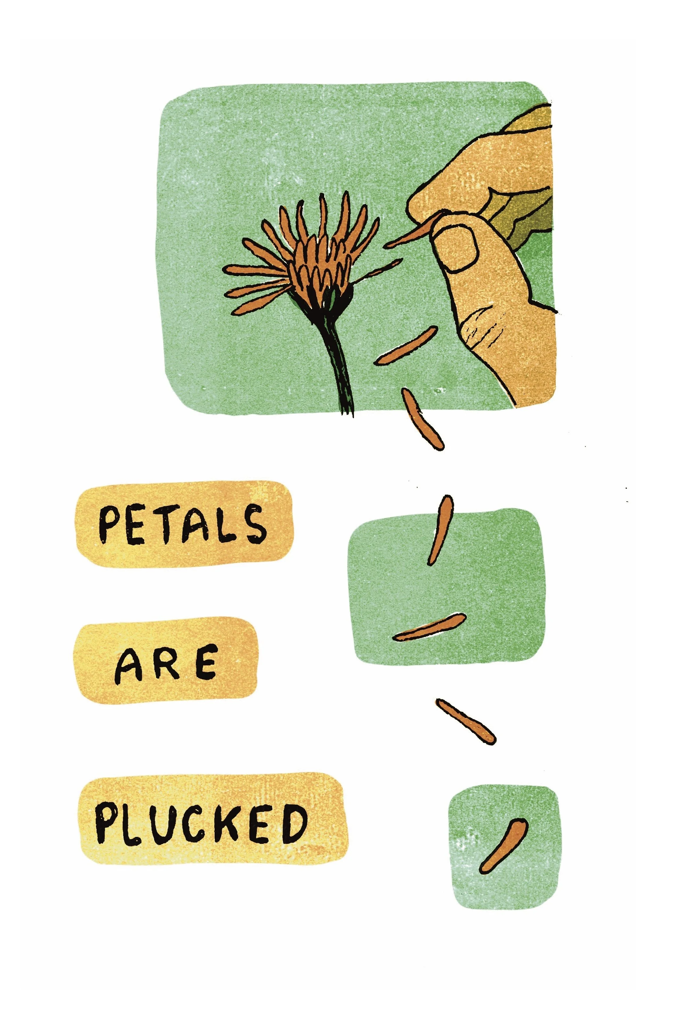  Illustration depicts a dandelion being plucked petal by petal, with falling orange petal flowing down the page framed by blocks of color. “Petals are plucked.” 