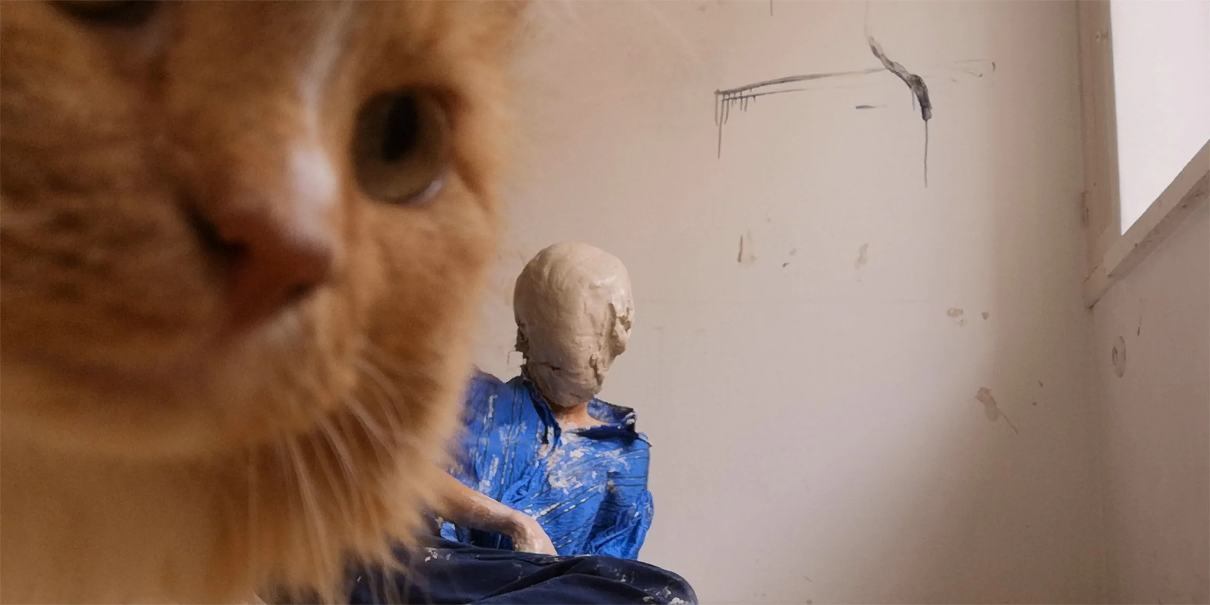 STILL_BLUE_cat.jpg