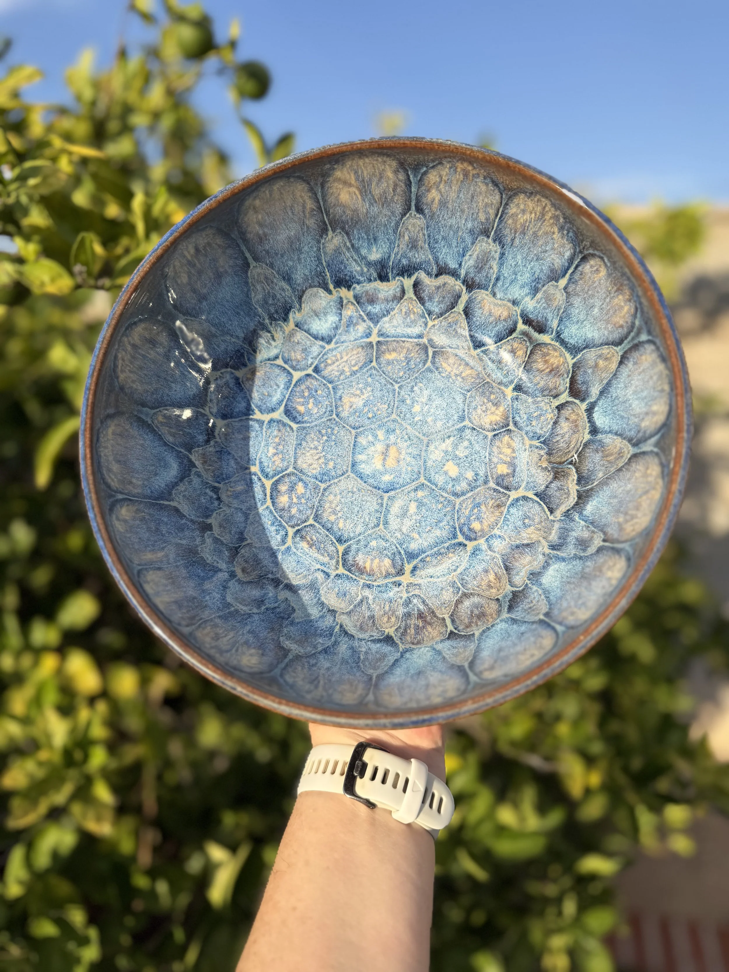 Blue and orange designer bowl