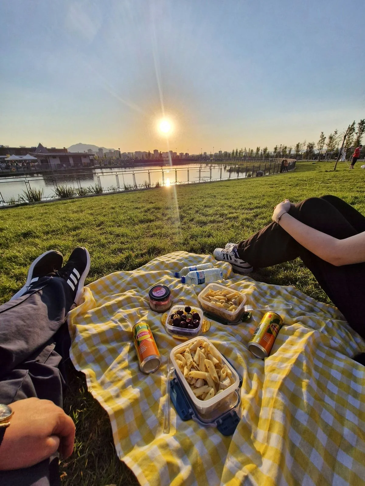 picnic.jpg