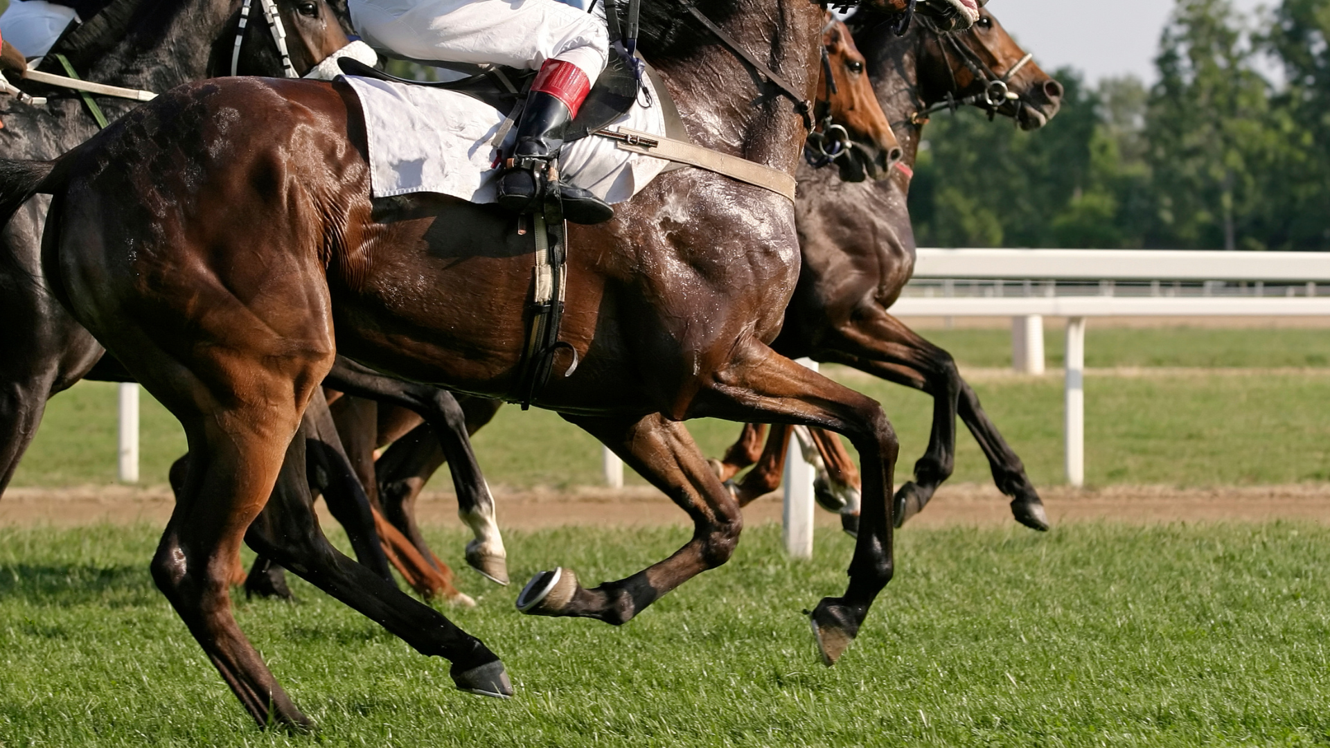 How to Plan Like a Thoroughbred