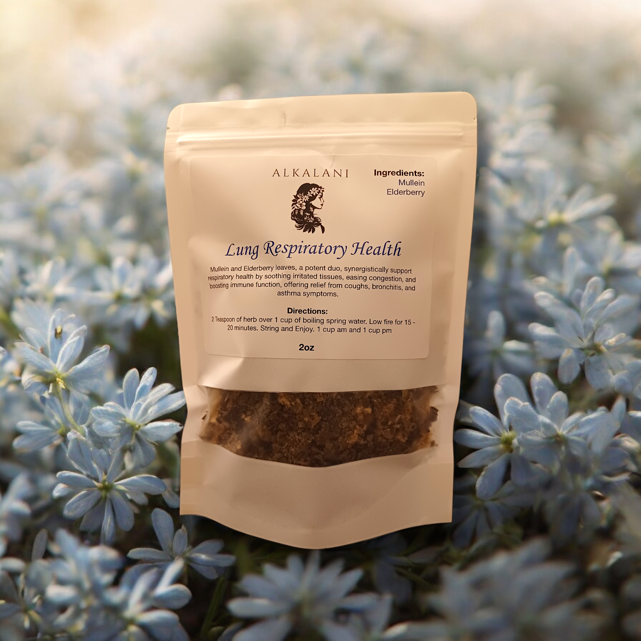 Lung Respiratory Health