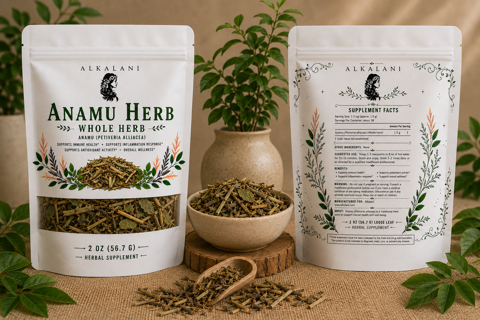 Anamu Herb