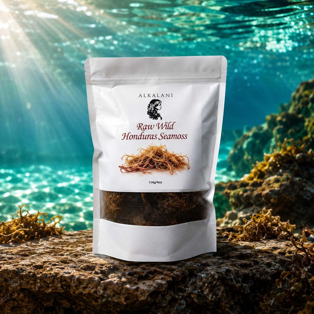 4oz Raw Honduras Seamoss