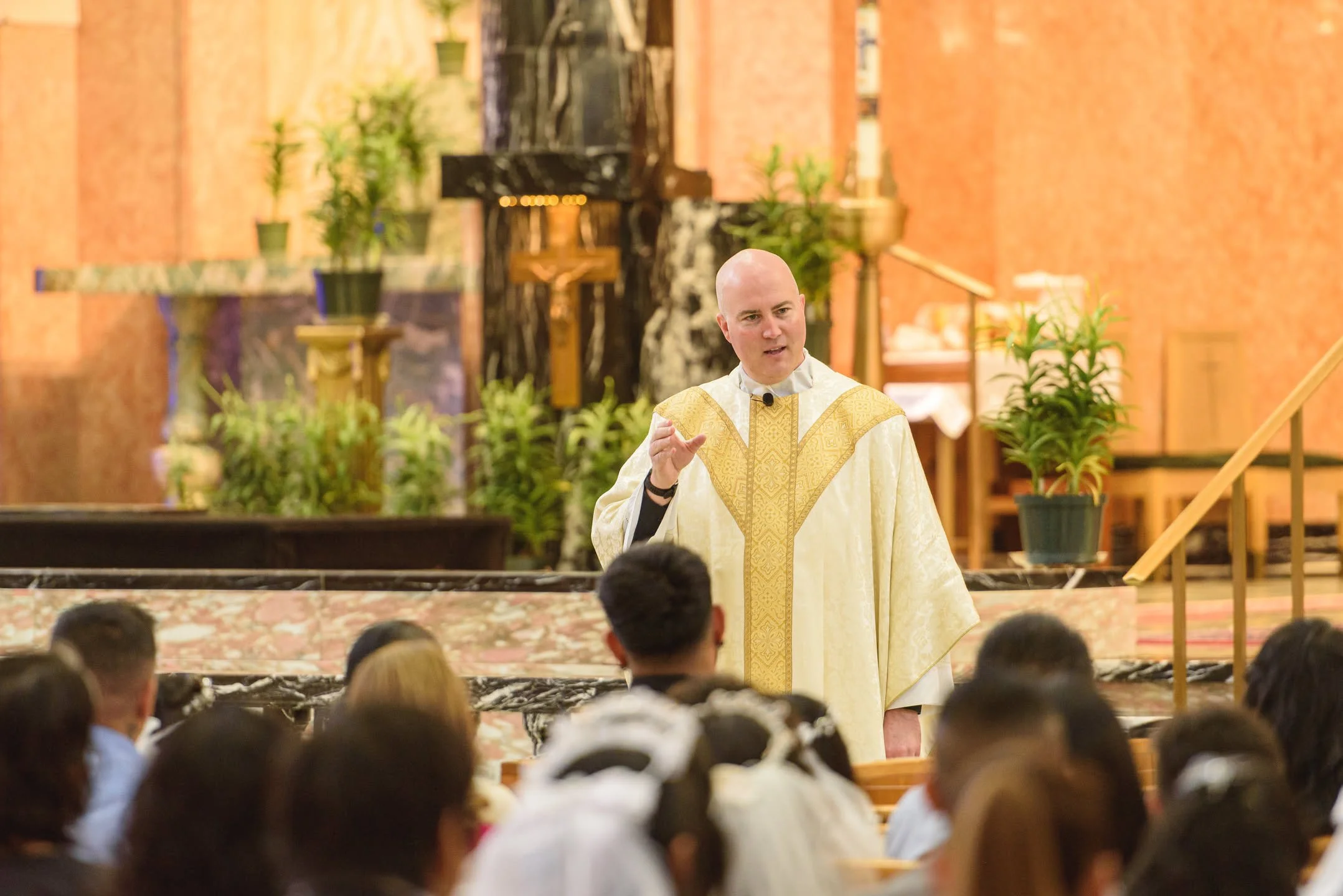 fr tom olm.jpeg