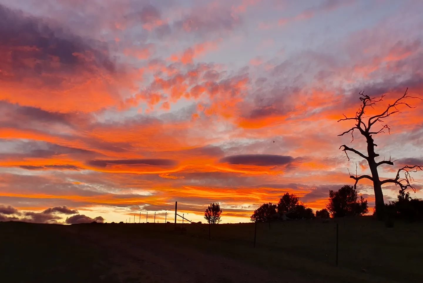 There are many things to love about our property at Ywam Tasmania.
Not only do we have many Australian animals and other wildlife living on our land, but we also have the best views of the sunrises and sunsets. We are surrounded by constant reminders