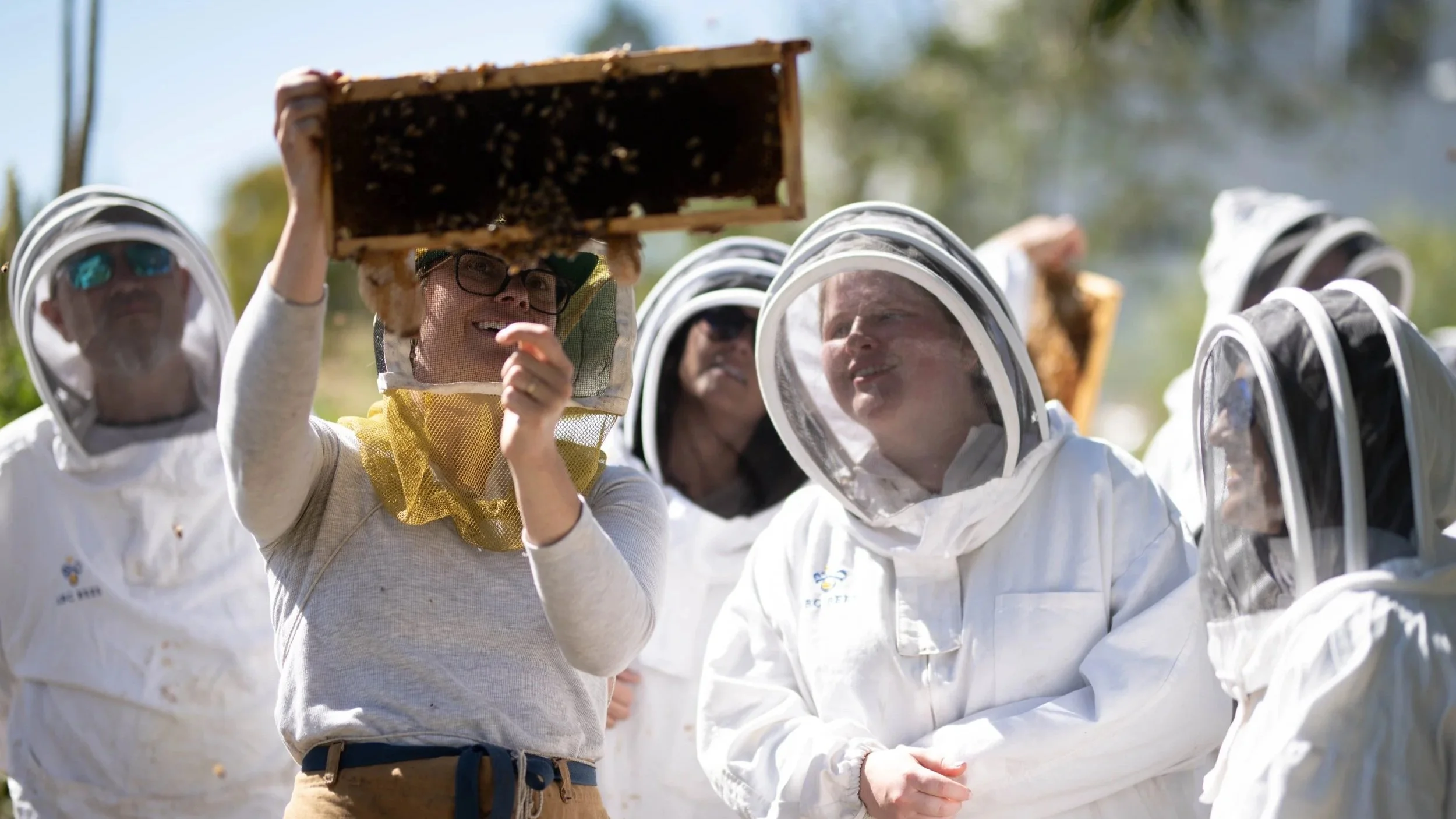 Urban Beekeeping Workshop