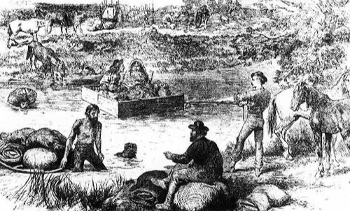 INTERESTING FACTS ABOUT THE METIS TRIBE visual data 8