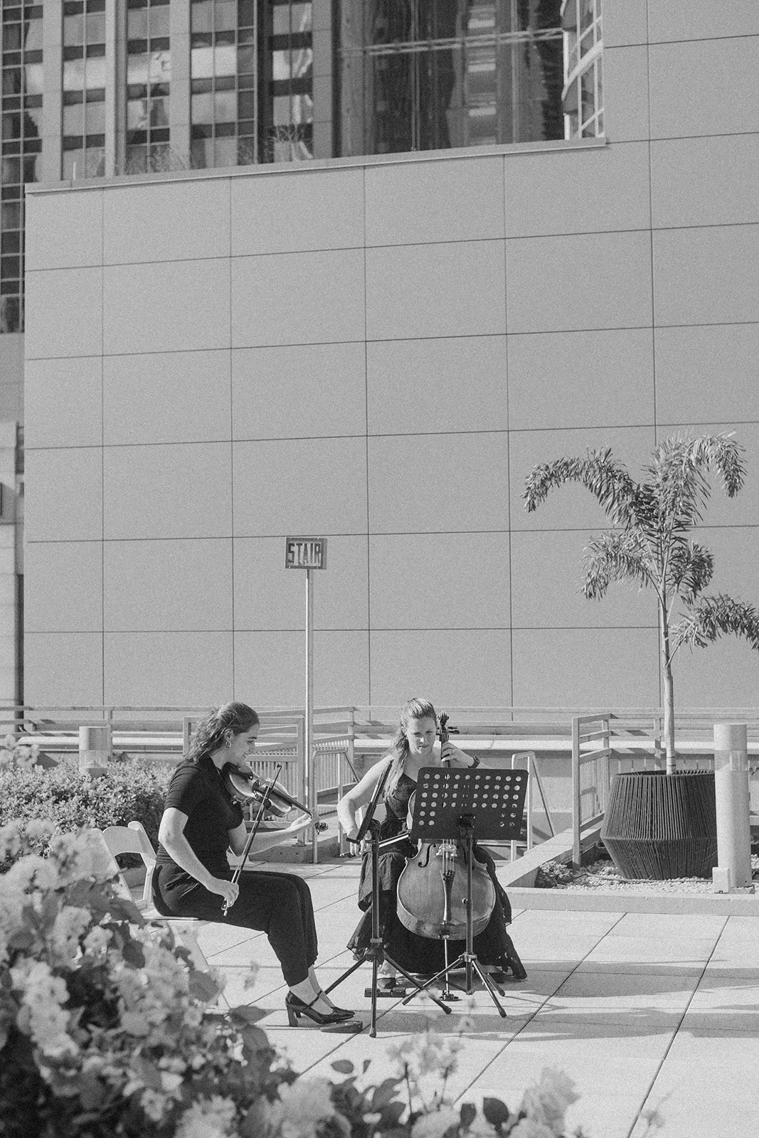 b&w duet.JPG
