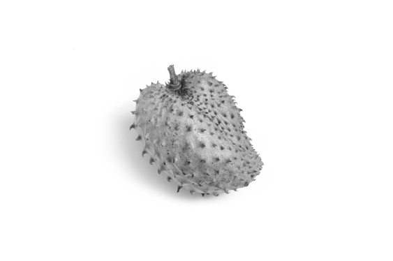 soursop_zoomed_out.png