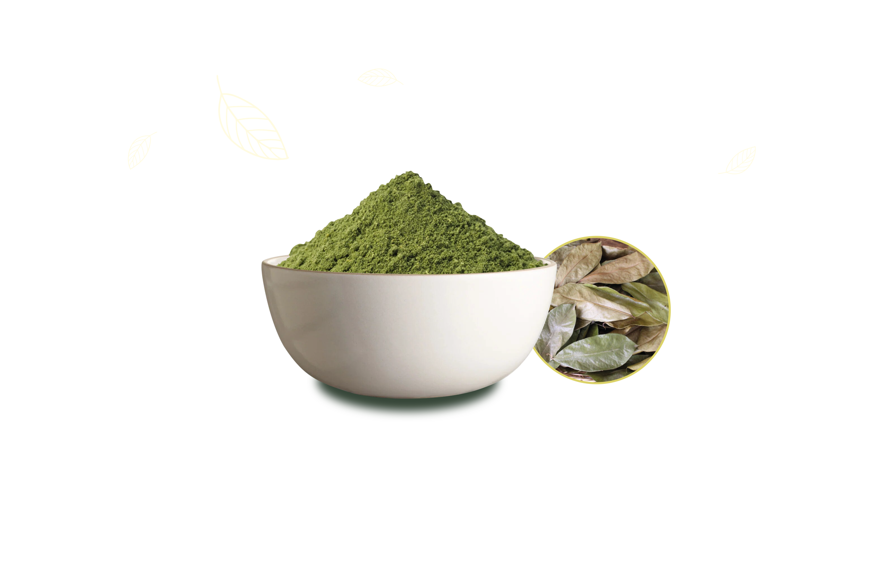 1-10 zoomed in more.png