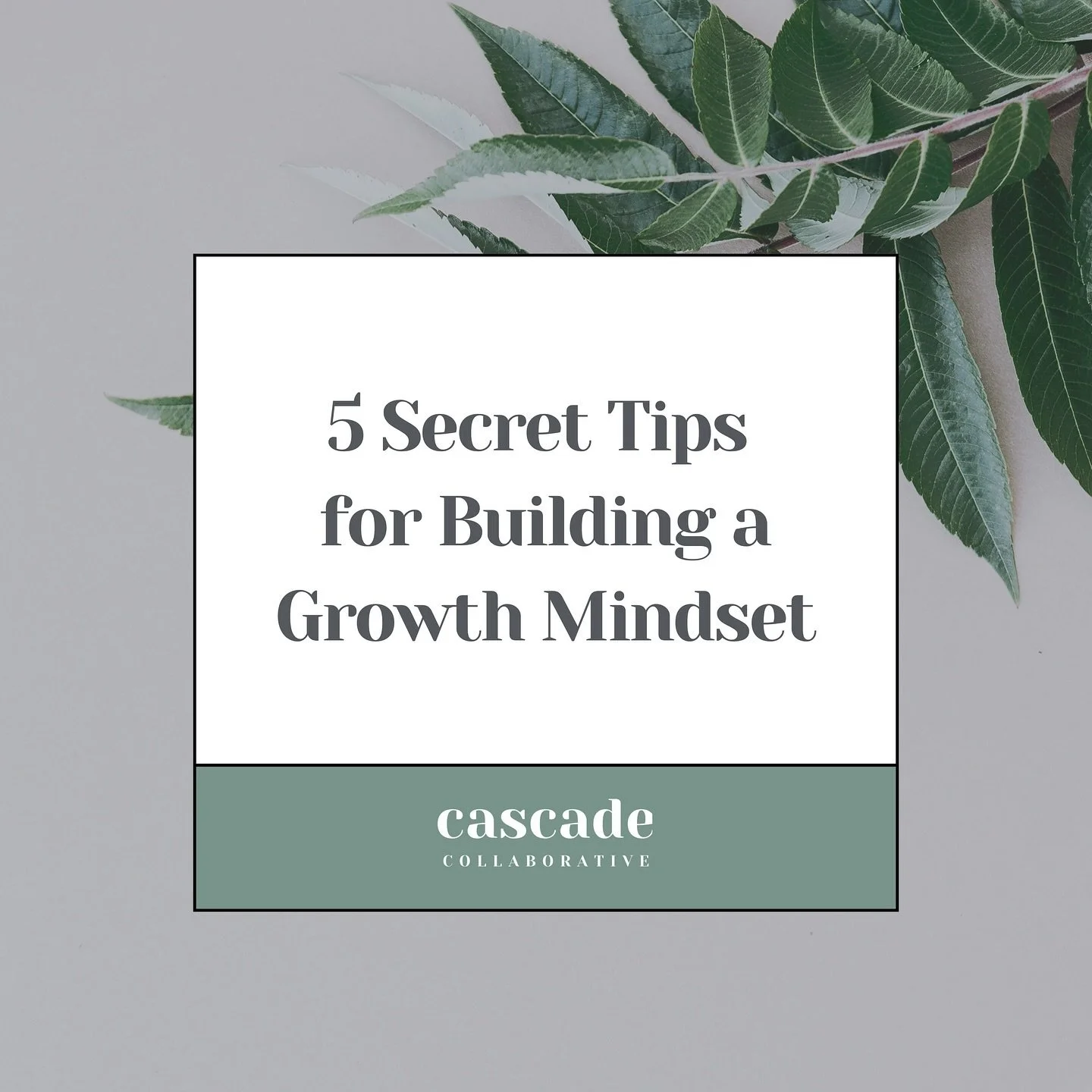 🌱 5 Secret Tips for Building a Growth Mindset 🌱

A growth mindset doesn&rsquo;t happen overnight&mdash;it&rsquo;s cultivated with consistent actions, openness to learning, and a commitment to personal improvement. Here are five practical ways to ge