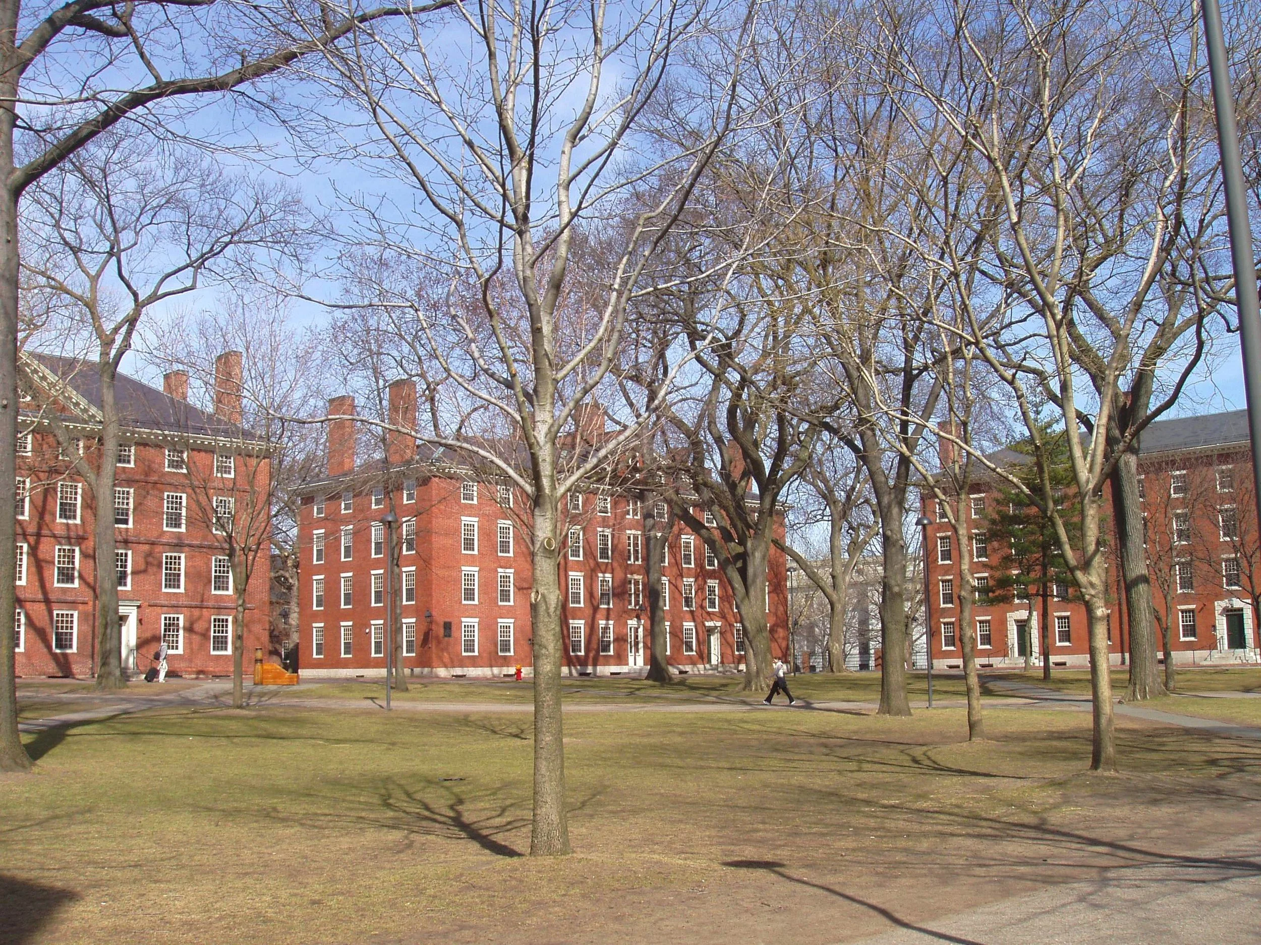 Harvard Class of '76