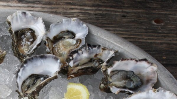 Half Shells
