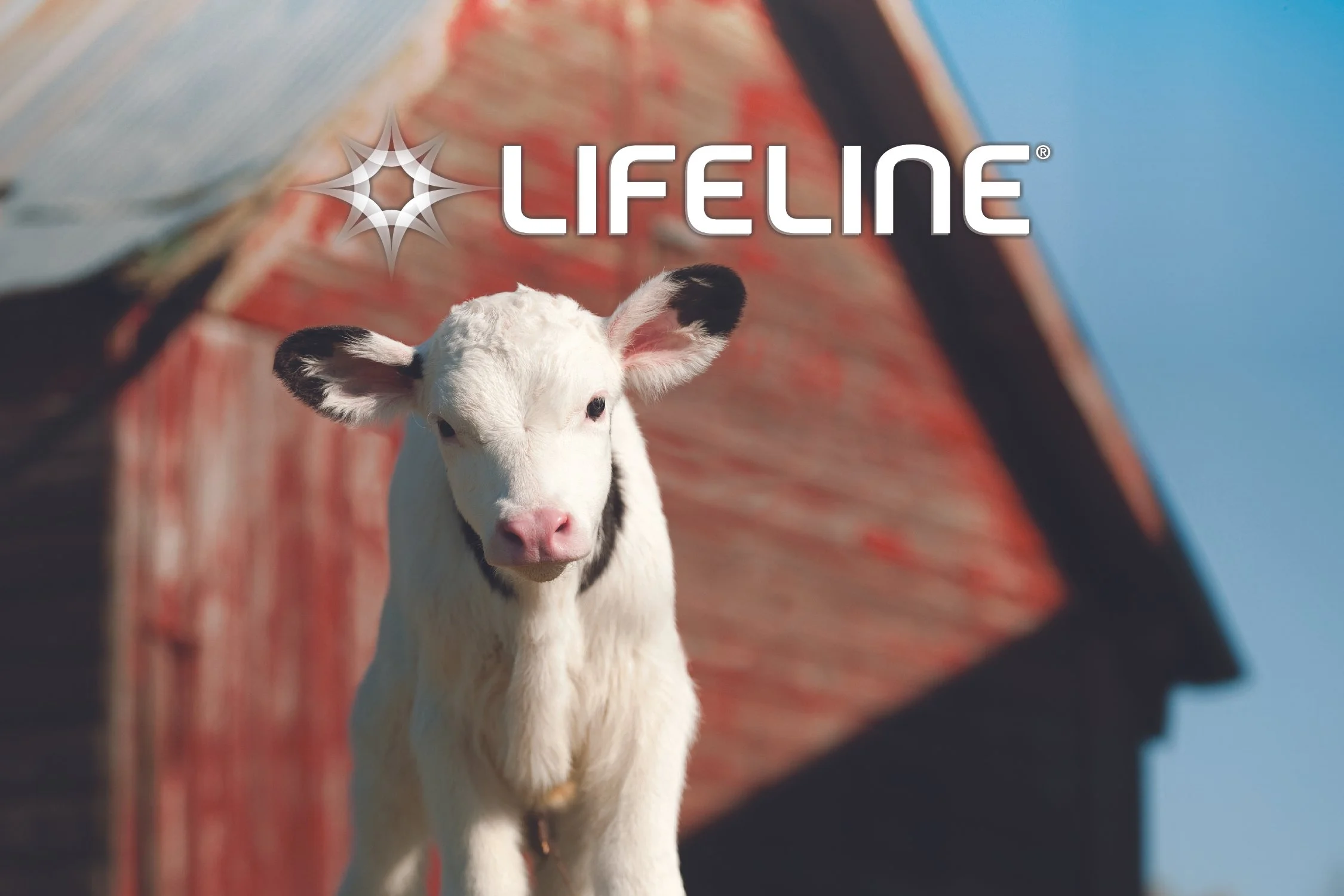 LIFELINE Logo Backdrop.jpg