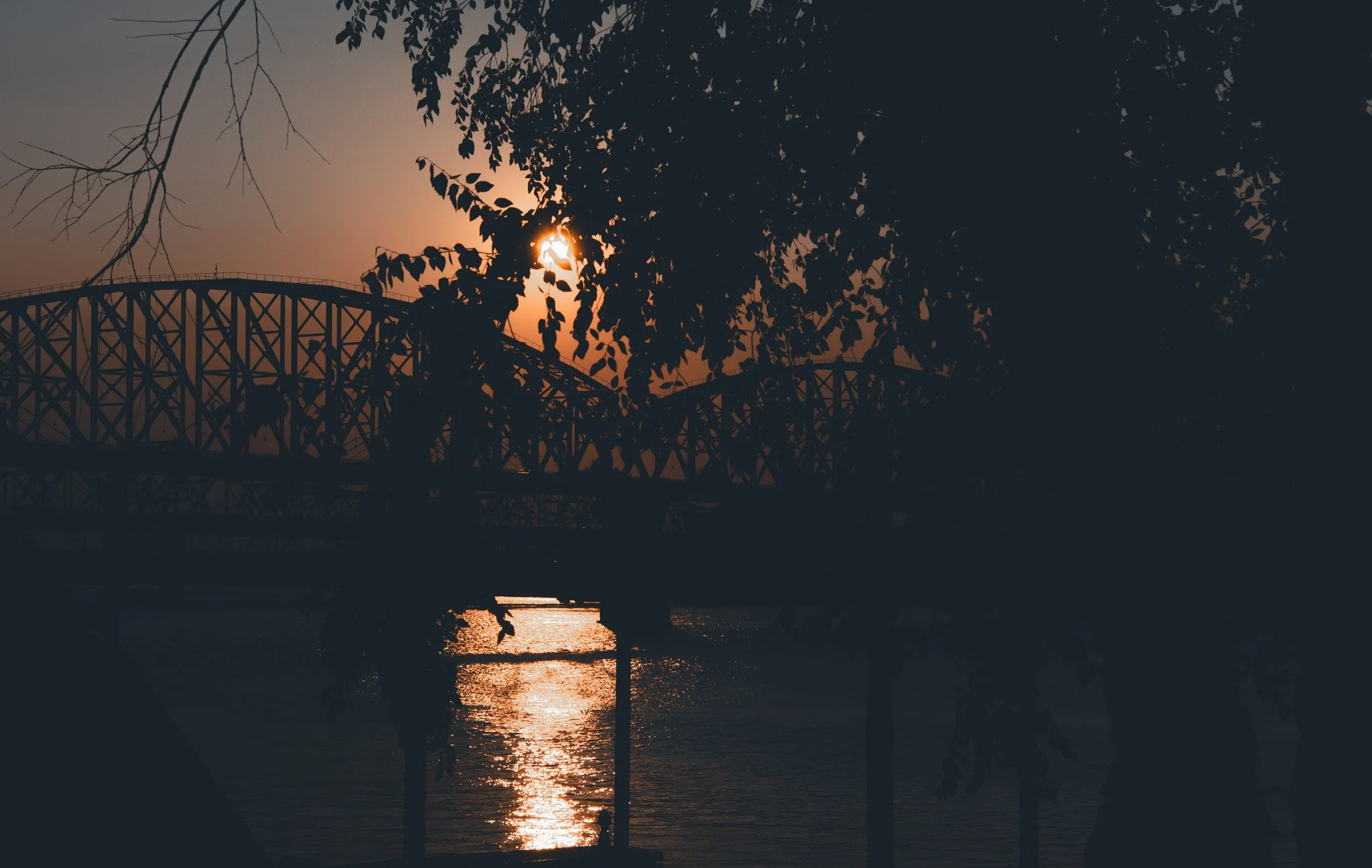 _WP19036.jpg