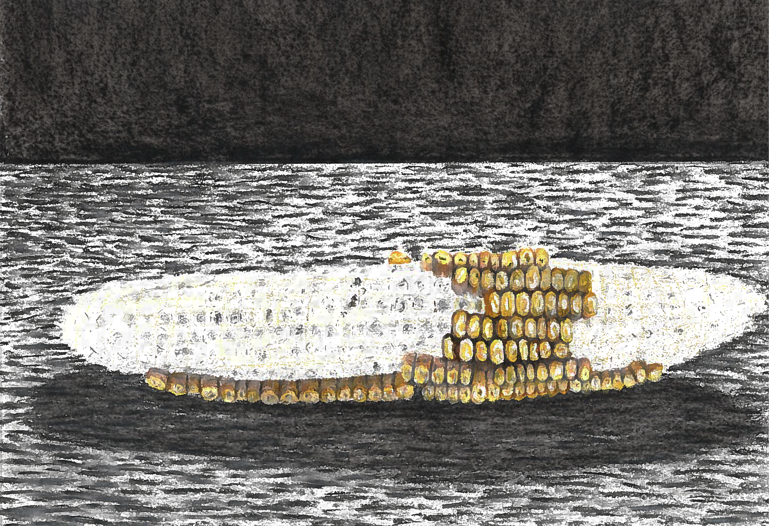 Close-up of roasted corn on a black grill surface.