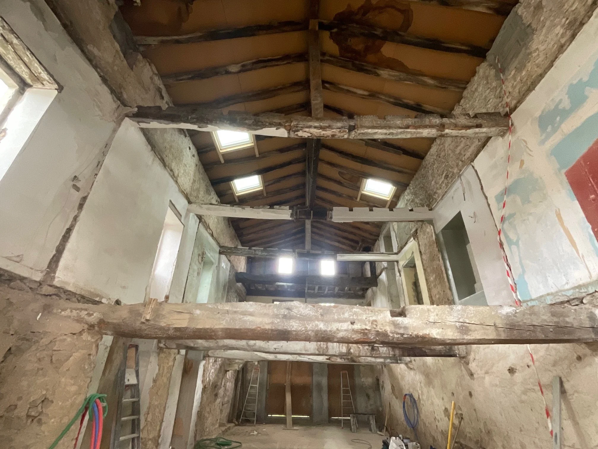 IMG_2150.jpg