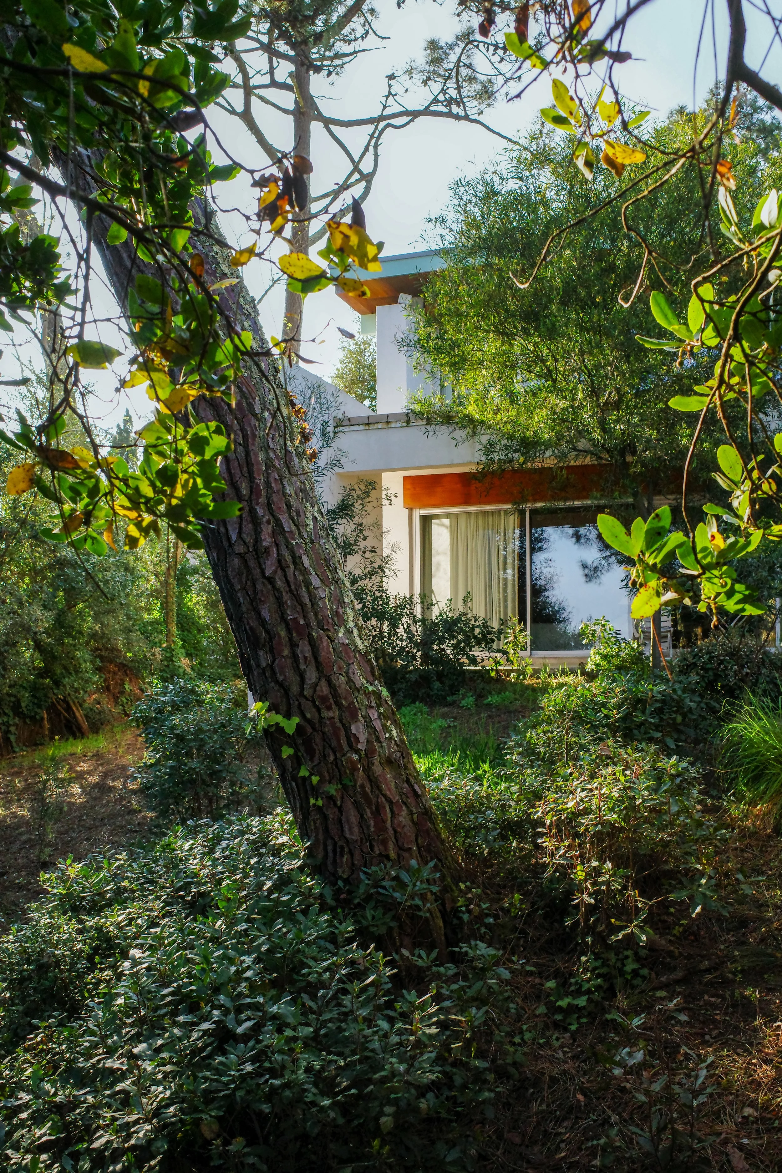 INCONNU | VILLA DE L'HERBE