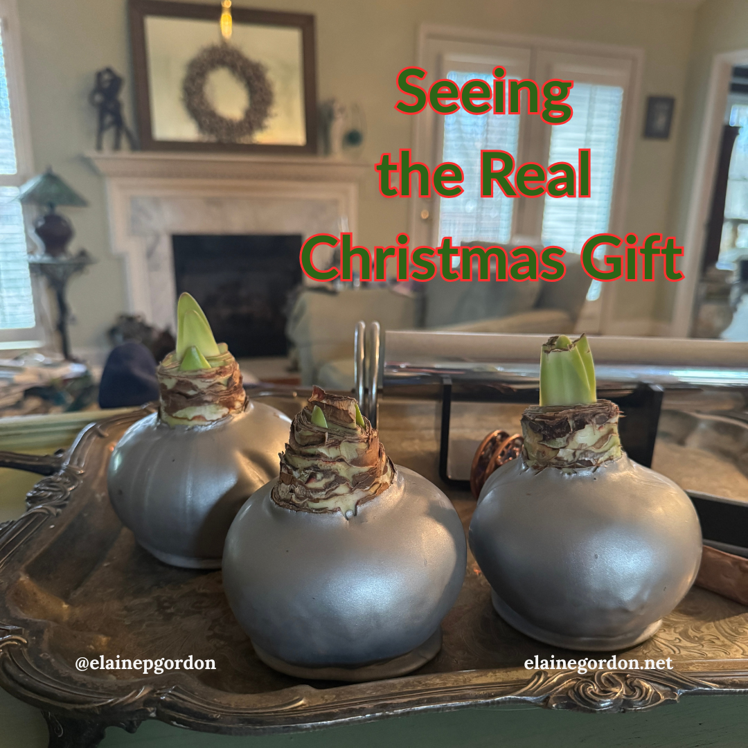 Seeing the Real Christmas Gift