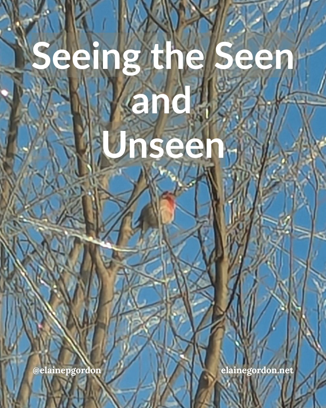 Seeing the Seen and Unseen