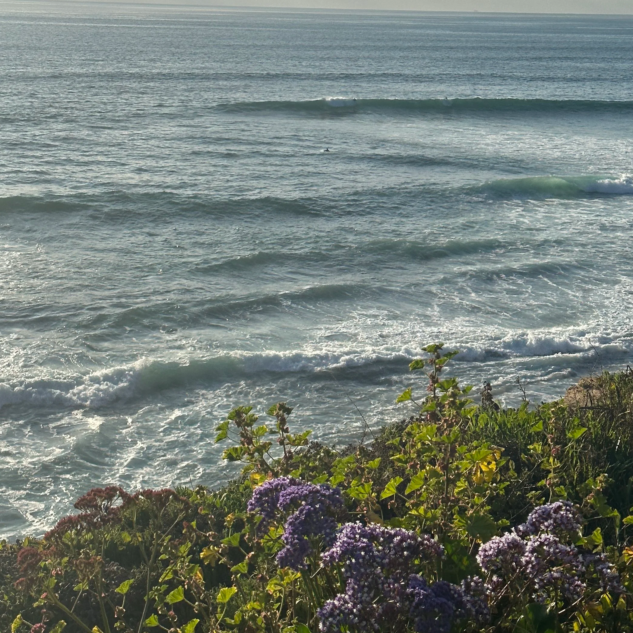 Press Releases & Kits