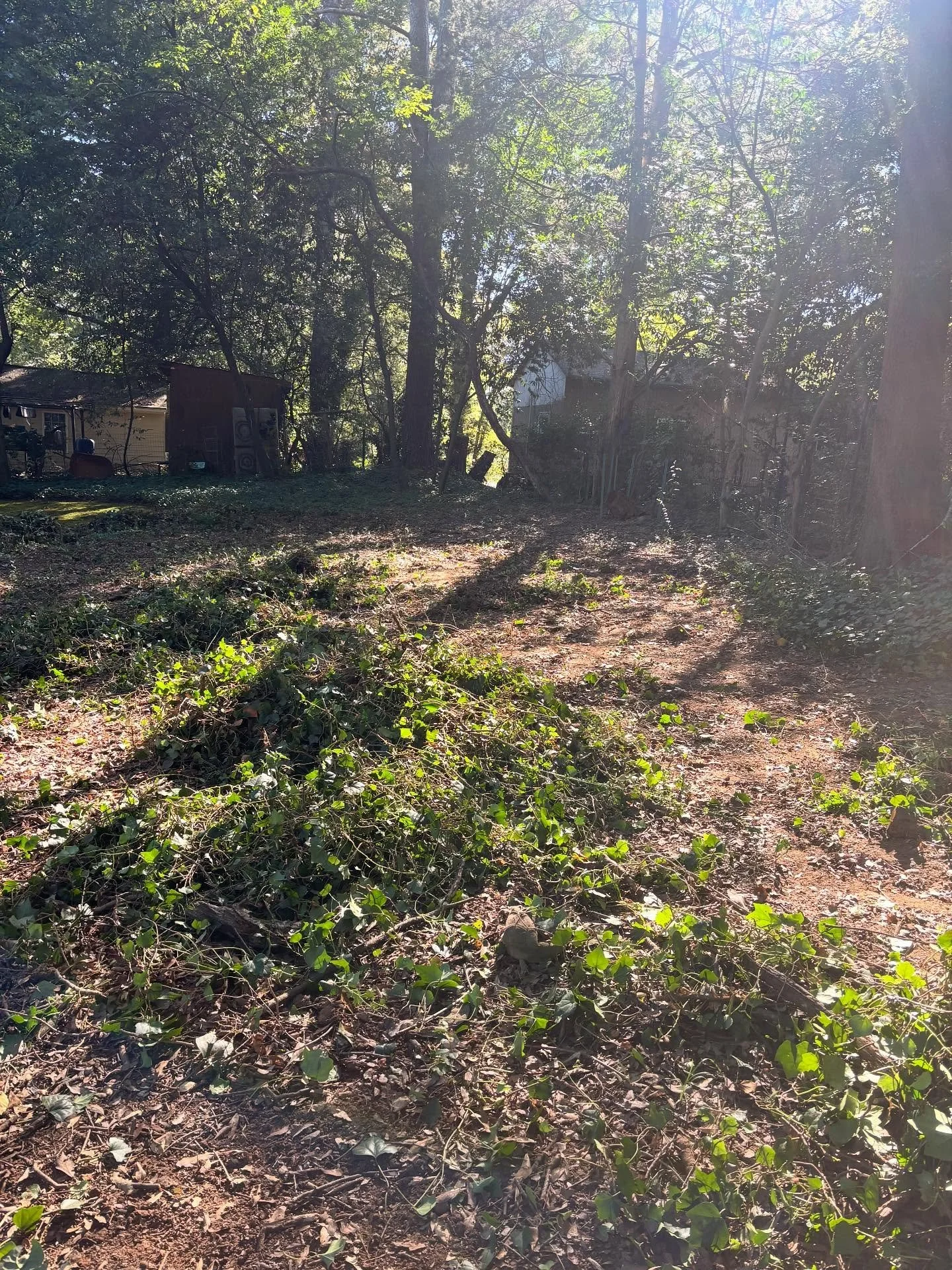 We gave new life to this backyard cleared out all the old grass and turned it into a clean, beautiful gravel pathway. A full transformation from plain to stunning.

Ready to give your yard a new look?
Contact Kingdom Contractors LLC at 678-558-1457