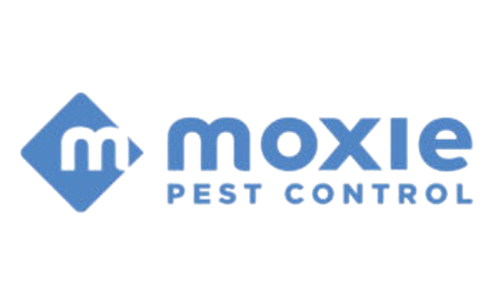 image-removebg-preview - 2025-12-29T095757.545.png