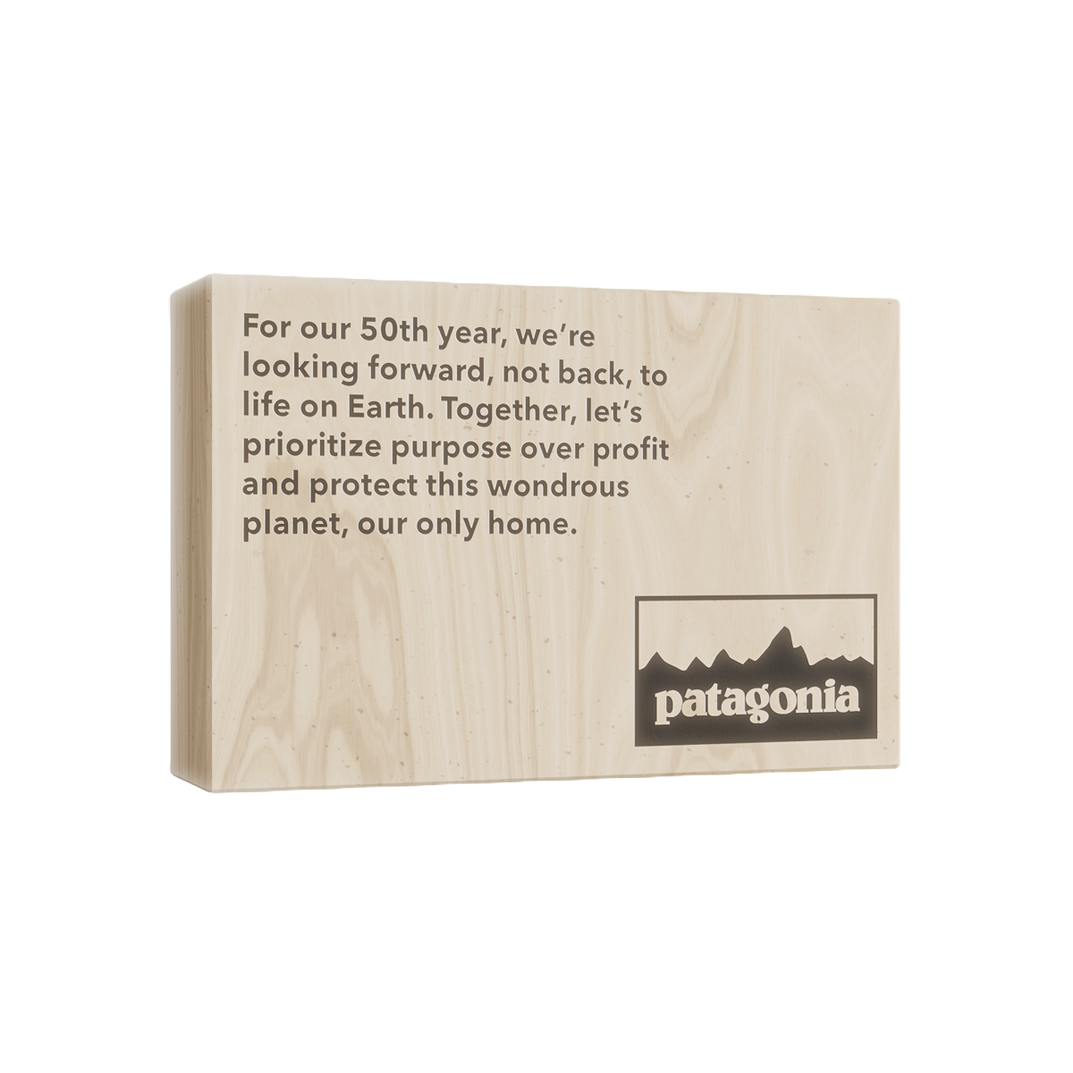 Patagonia wooden plaque with a message about environmental responsibility and a mountain logo.
