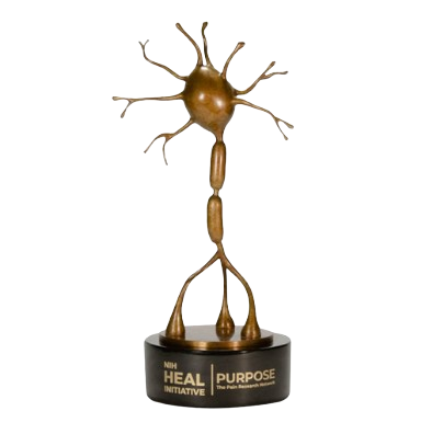 image-removebg-preview - 2025-10-15T112904.840.png