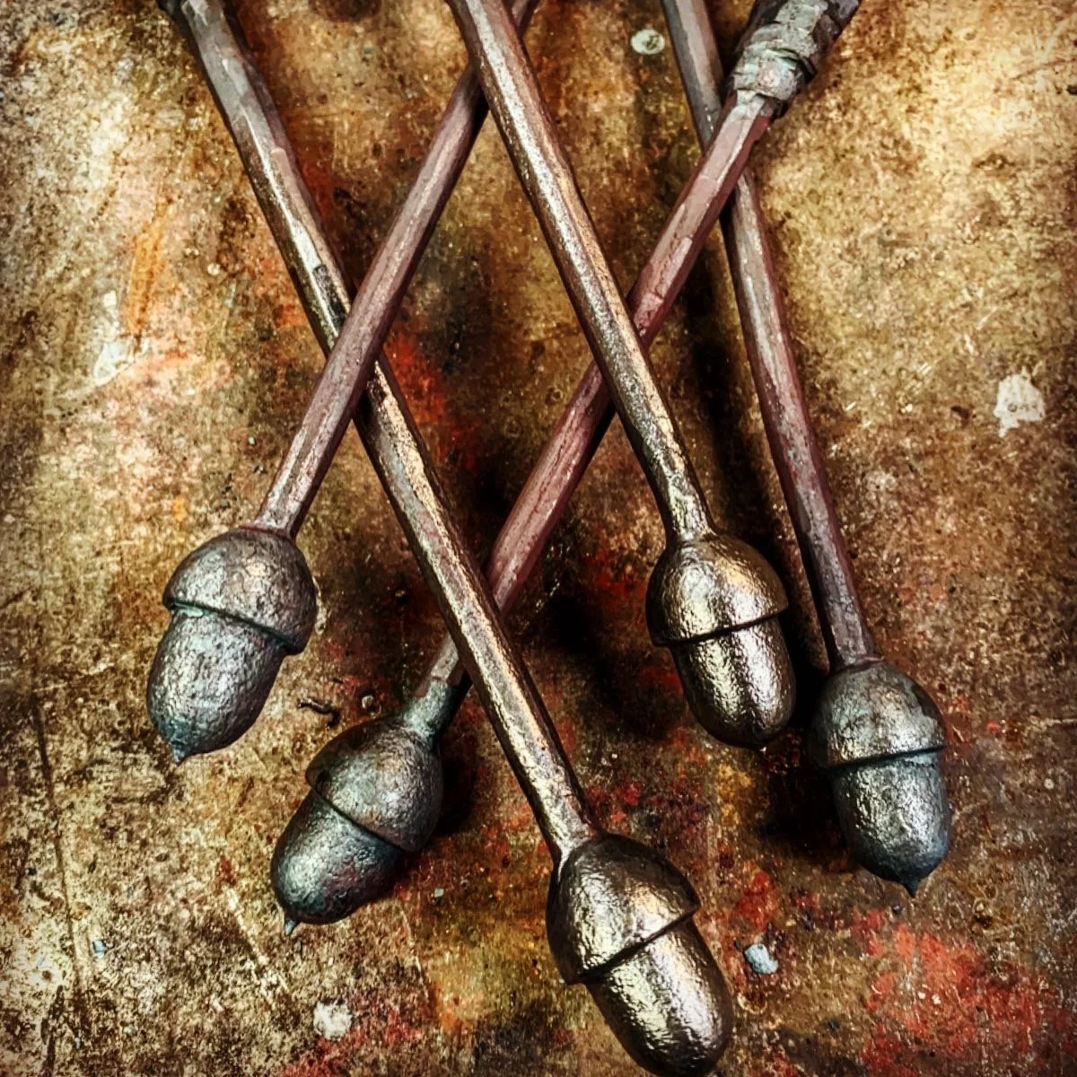 acorns picture for website .JPG