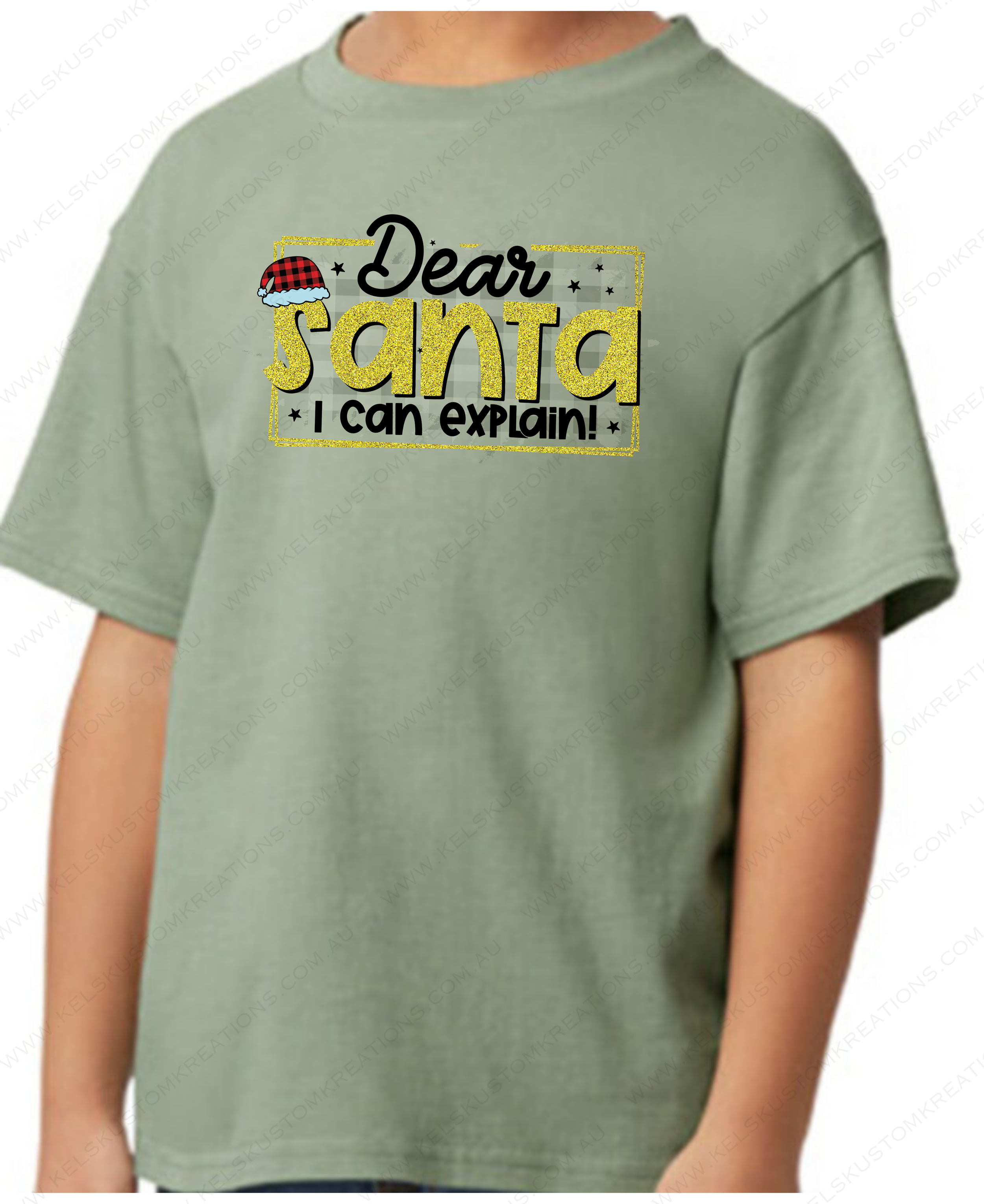 Dear Santa I Can Explain - Sage.png