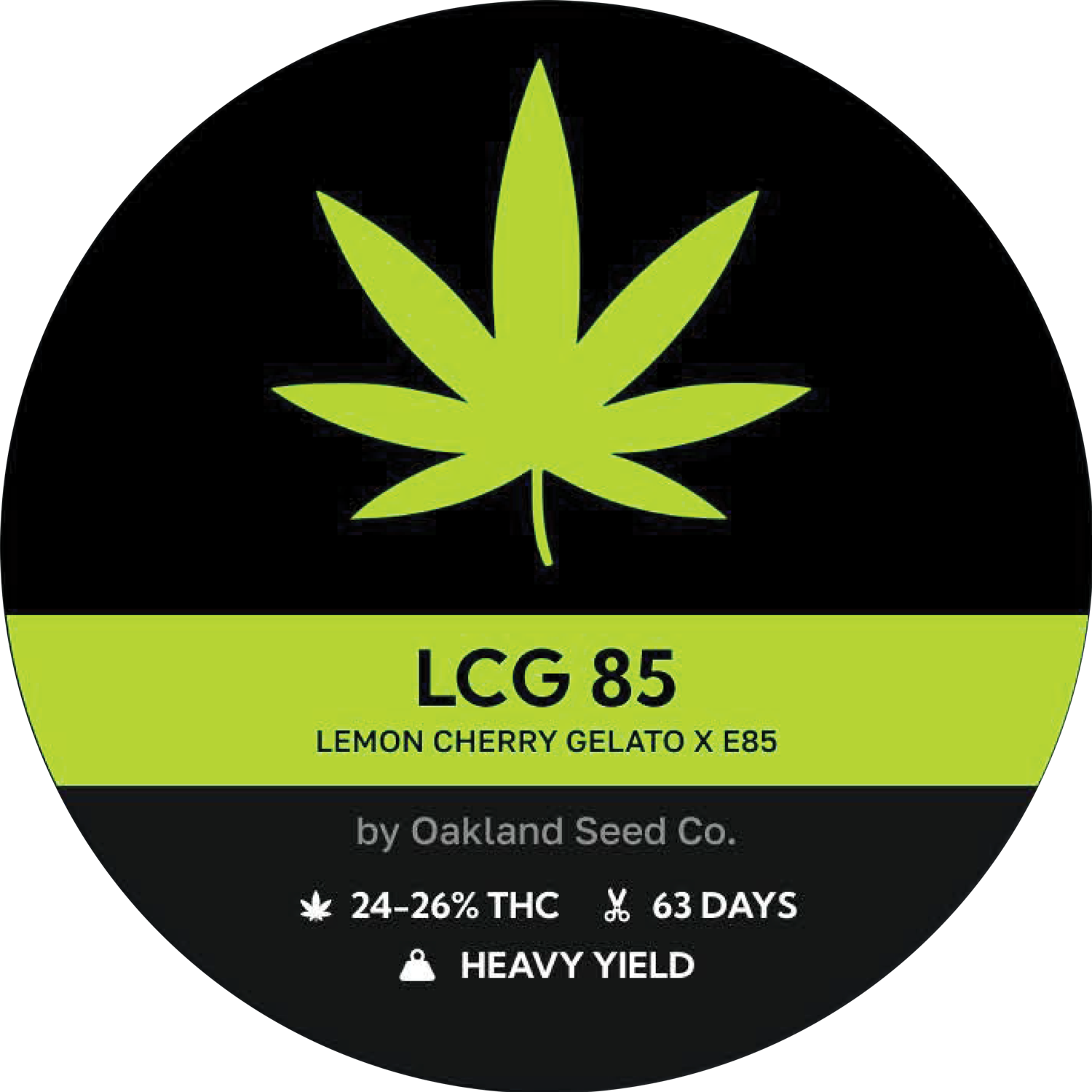 LCG 85
