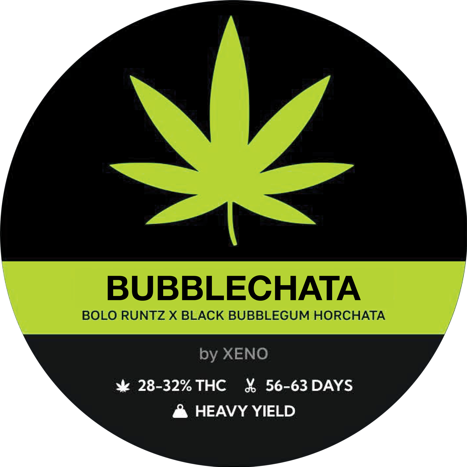 BUBBLECHATA
