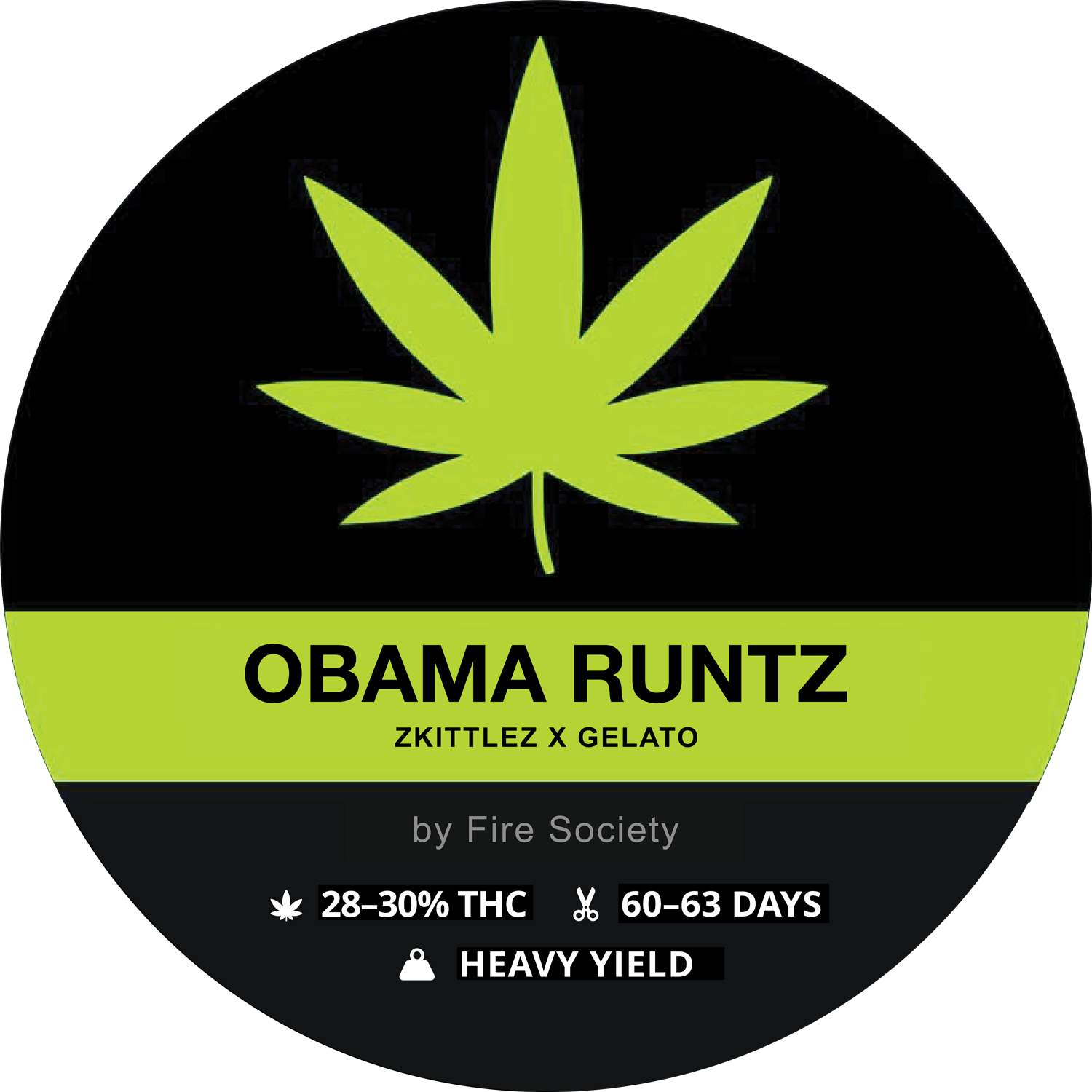 OBAMA RUNTZ
