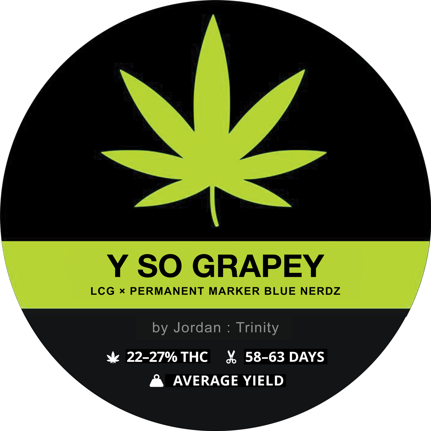 Y SO GRAPEY