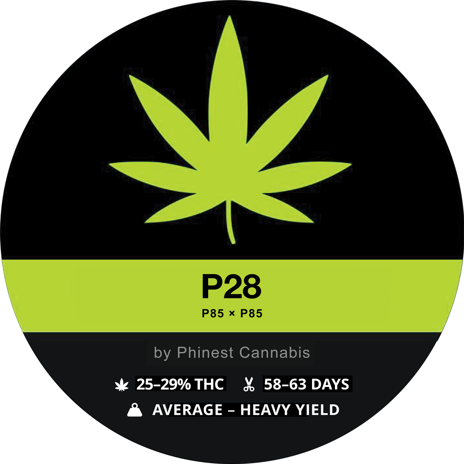 P28