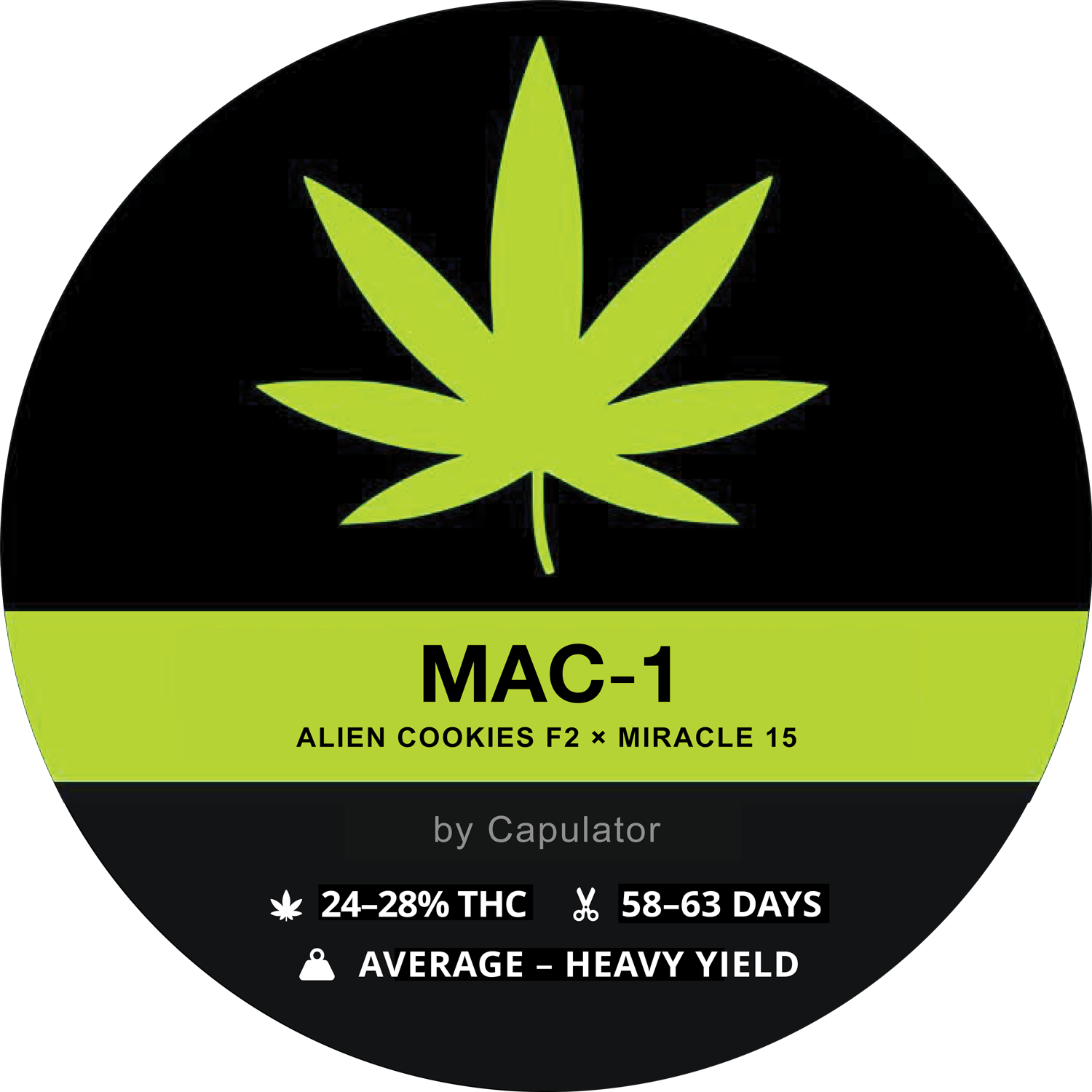 MAC-1