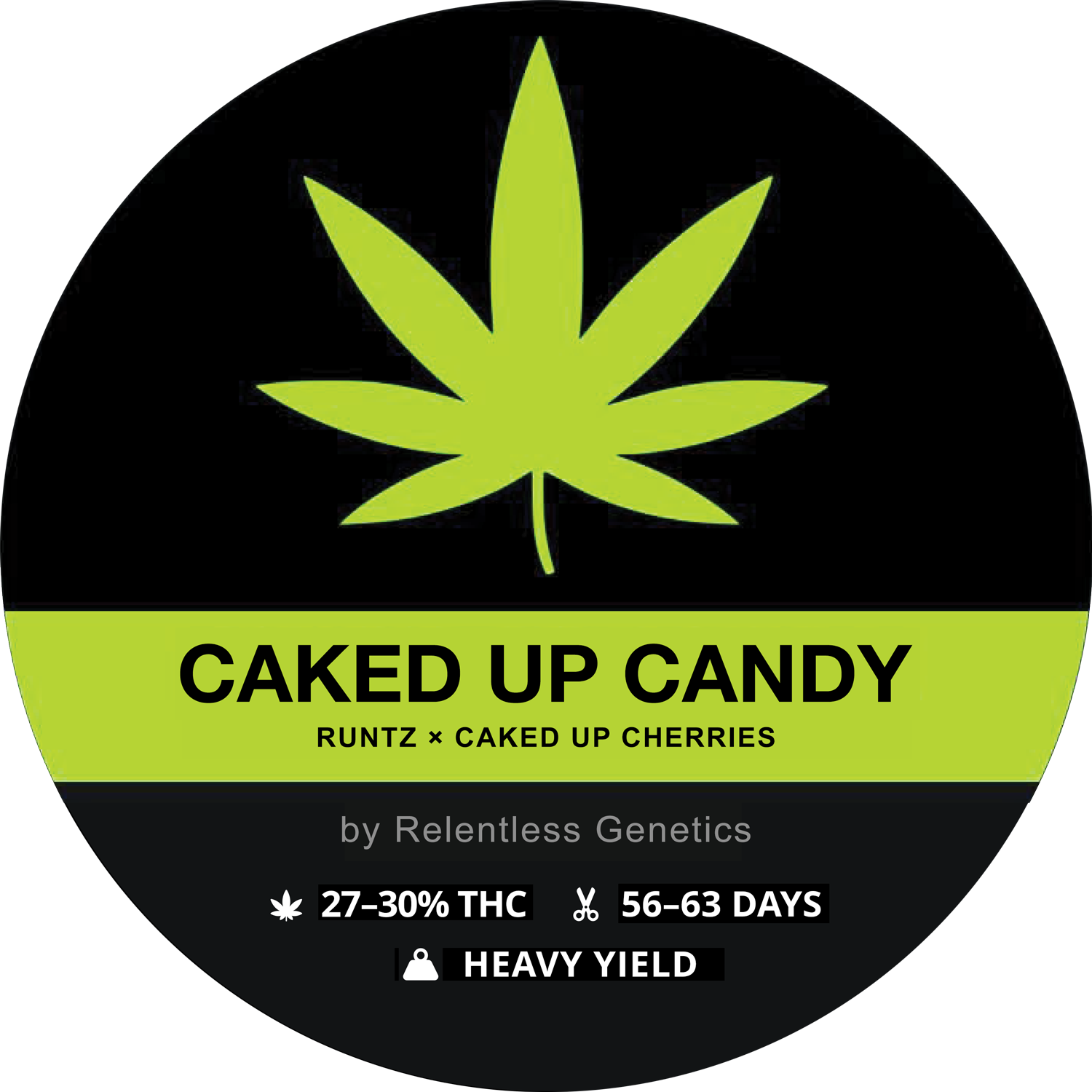 CAKED UP CANDY