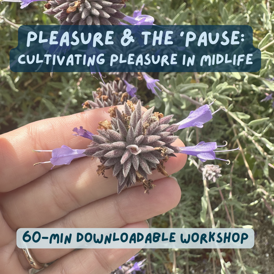 Pleasure and the 'Pause Recorded Workshop
