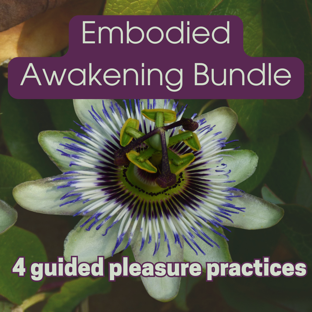 The Embodied Awakening Audio Bundle