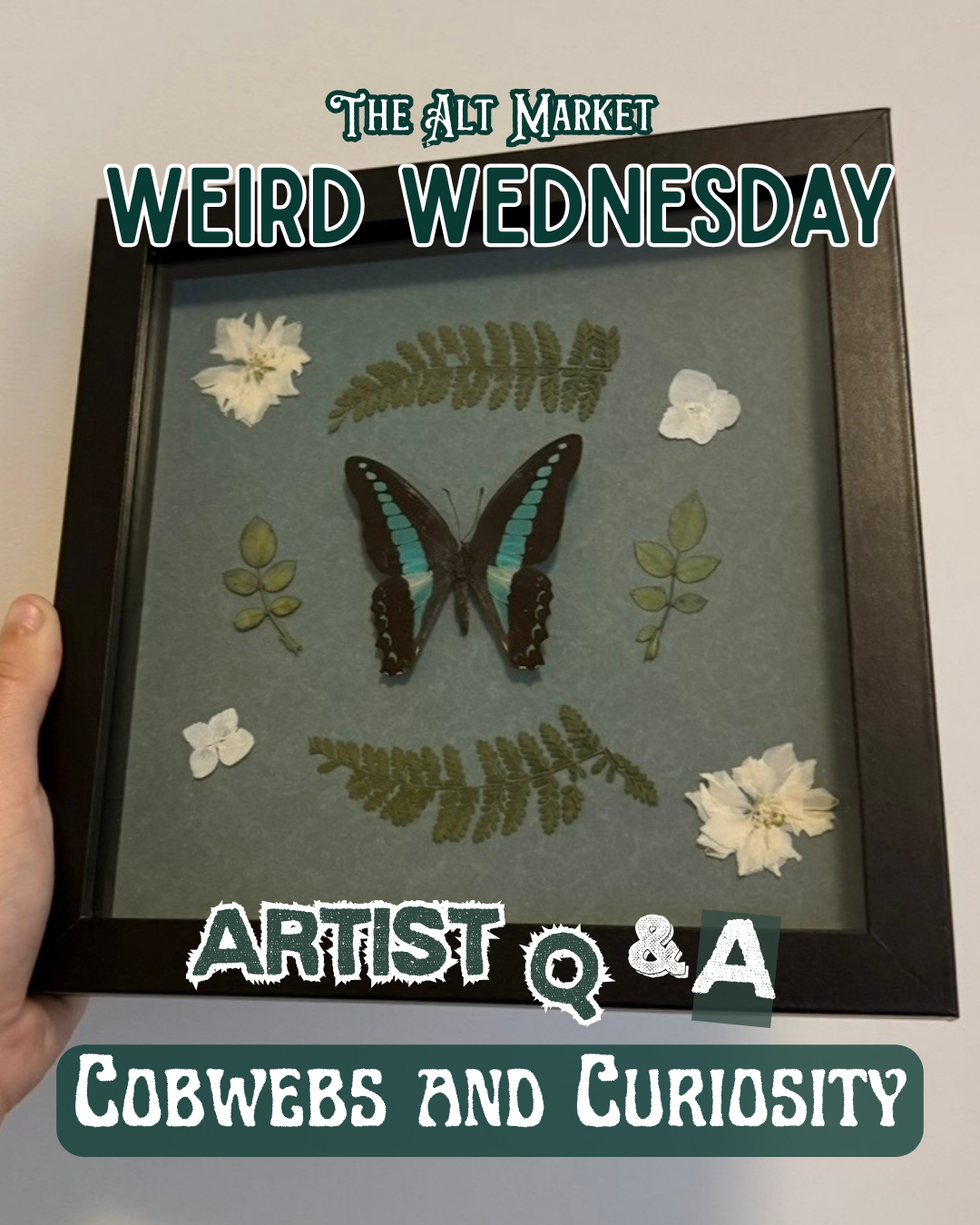 A framed display featuring a large butterfly, several fern leaves, and small white and light-colored flowers arranged on a green background.