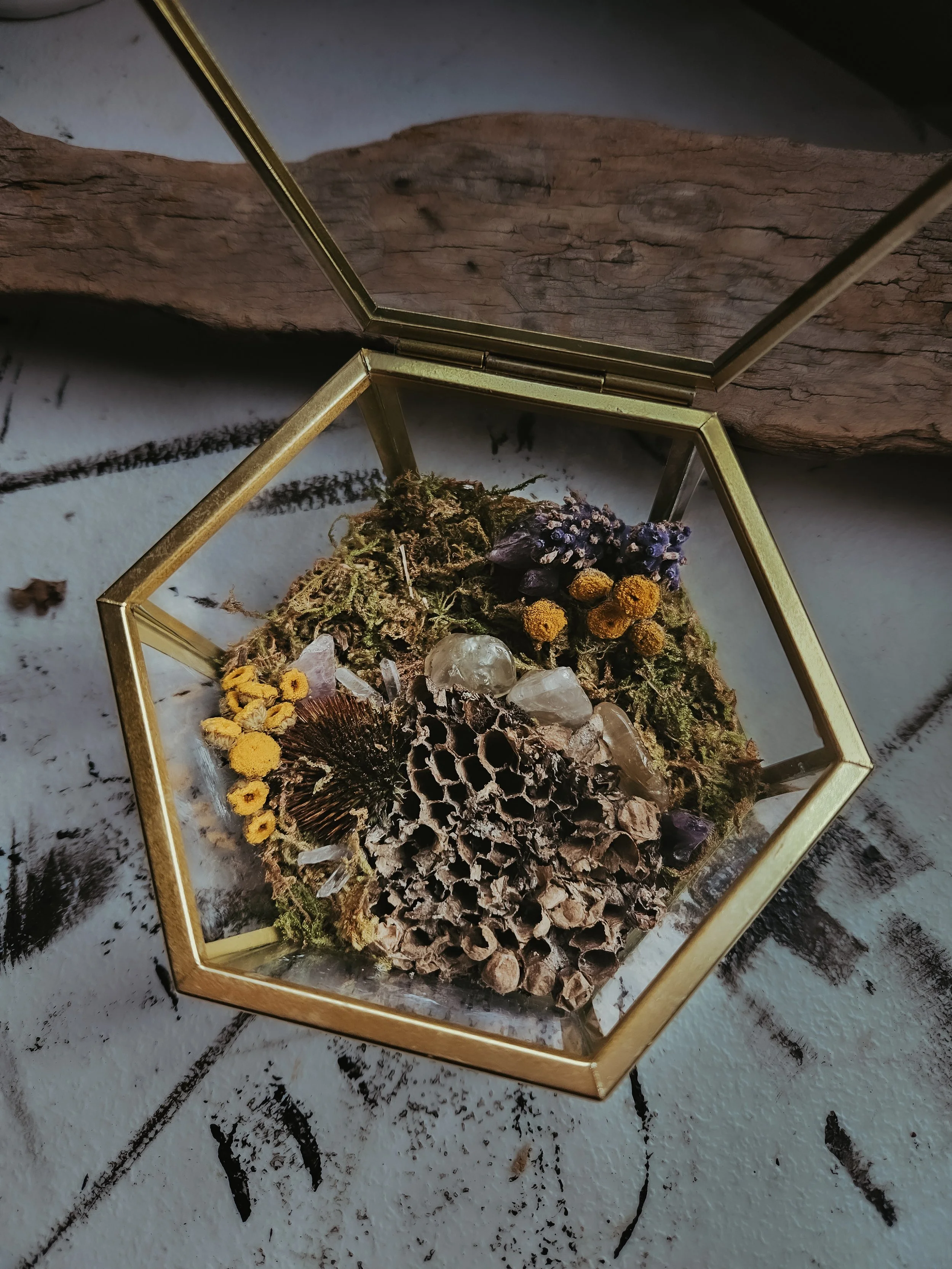 20251117_083356 (1).jpg