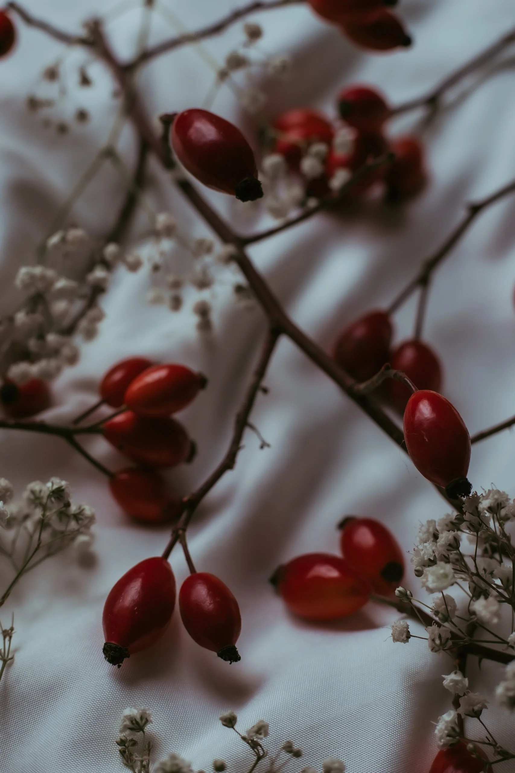 Red berries and small white flowers on a white fabric background.