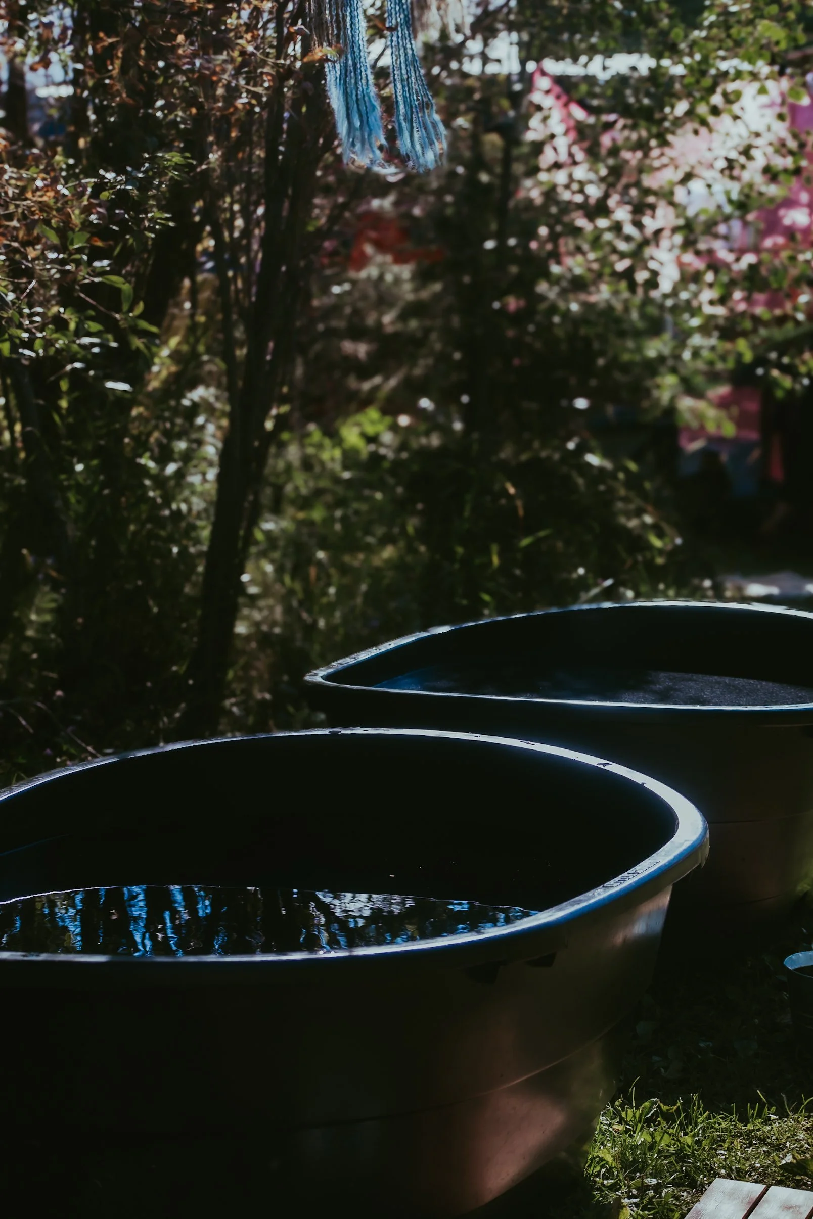 Two black tubs filled with water outdoors, with pink blossoms and green foliage in the background, and a blue towel hanging from a tree branch.