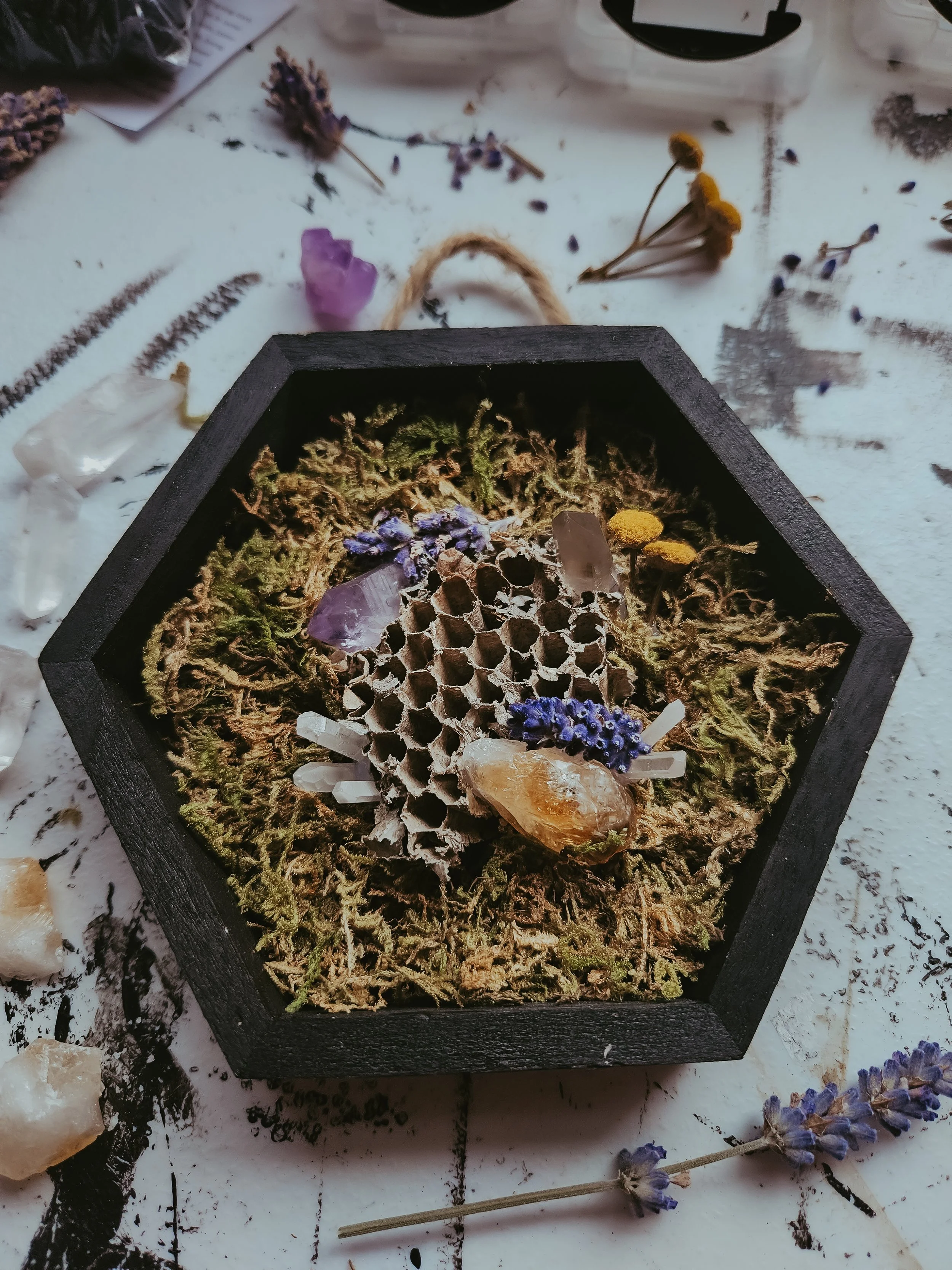 20251120_140939 (2).jpg