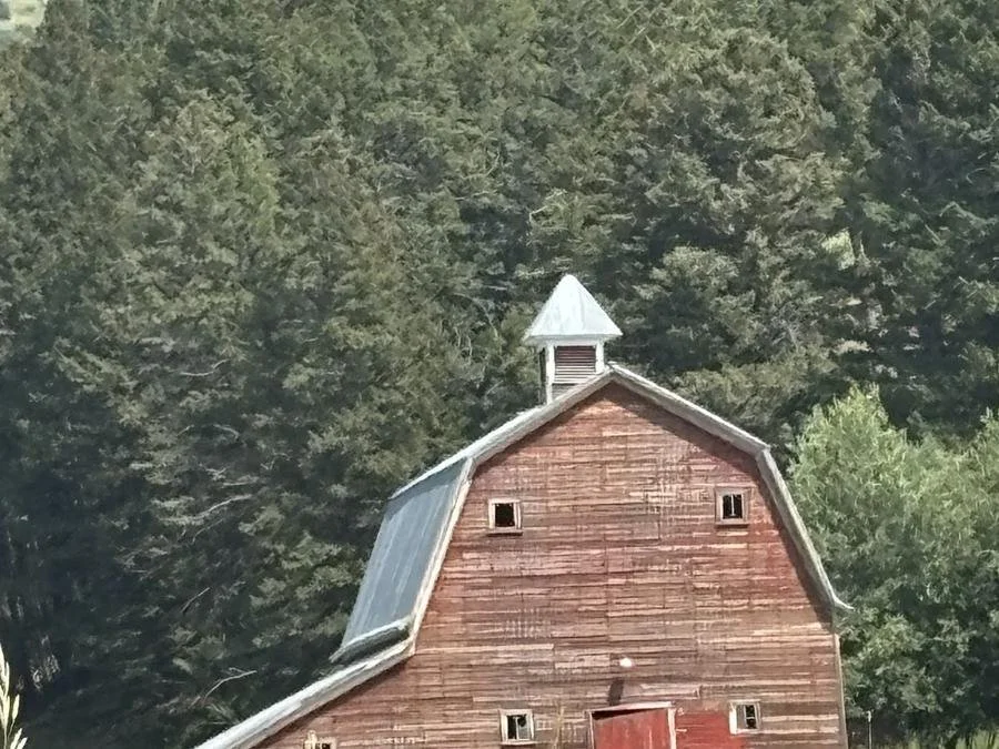 Historic red barn with a cupola at 3B Ranch near Wilsall, Montana, before restoration
