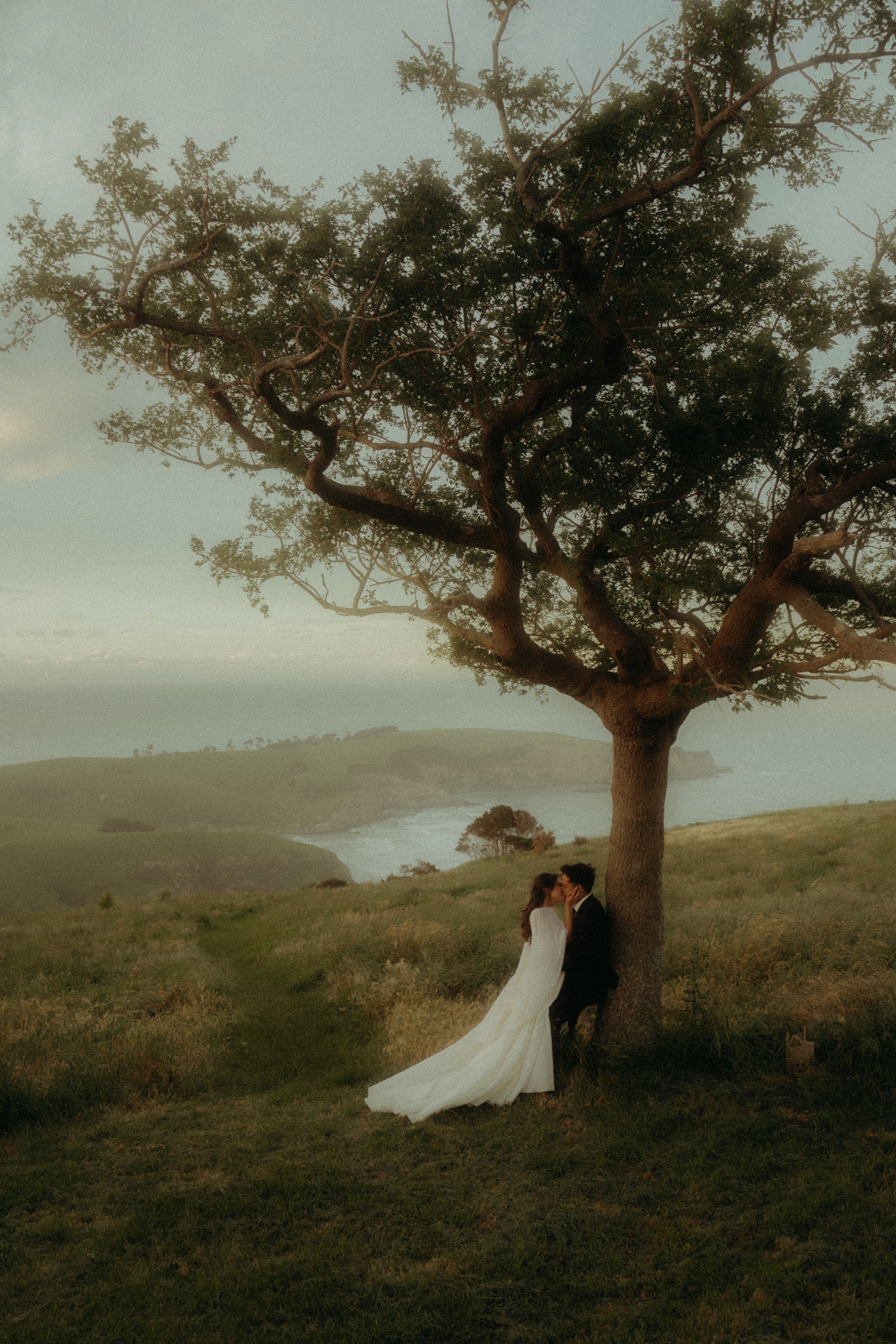 Joshua Yates Photography - Banks Peninsula-552.jpg